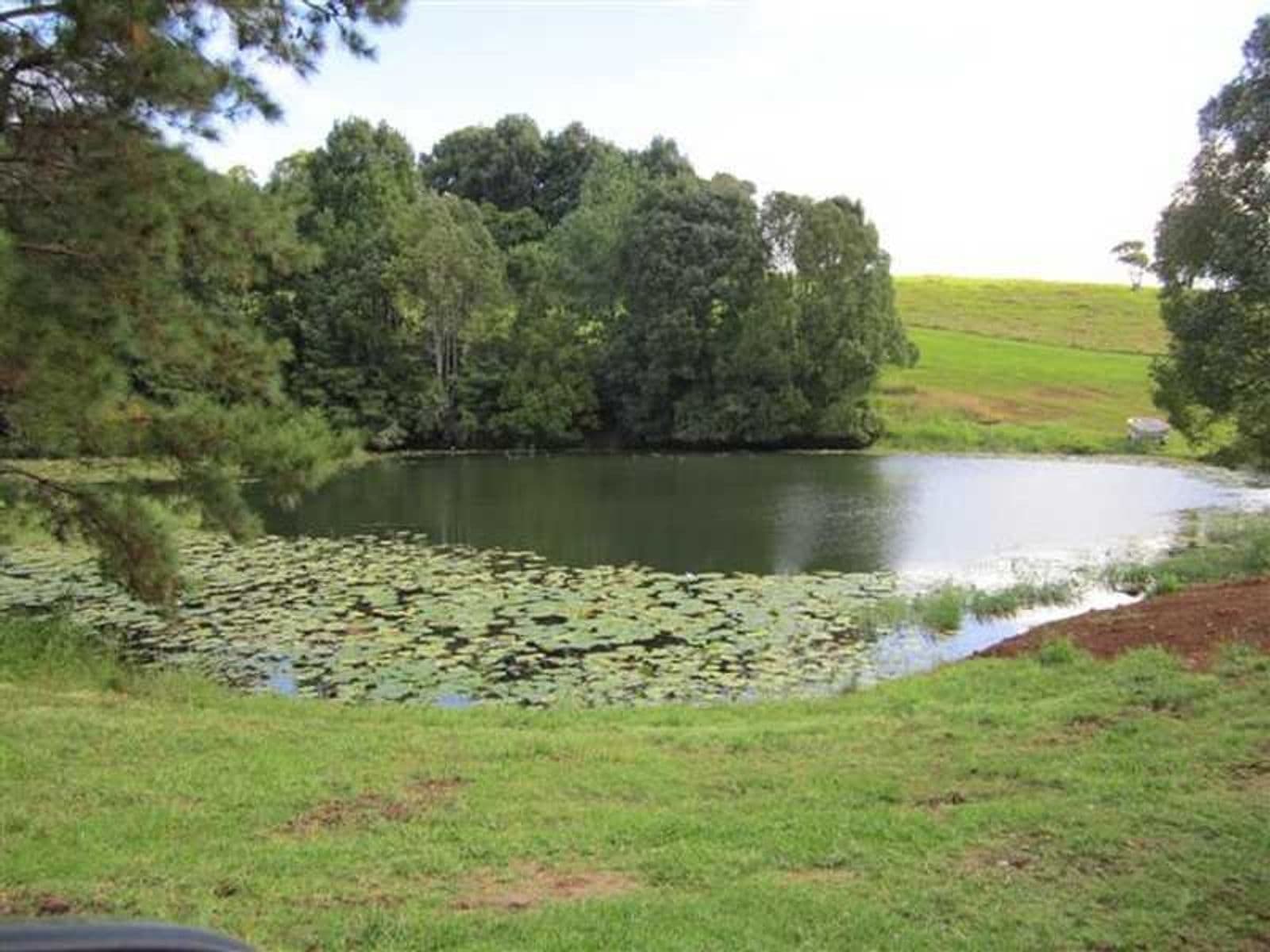 882 Eltham Road, Booyong - Thumbnail 4