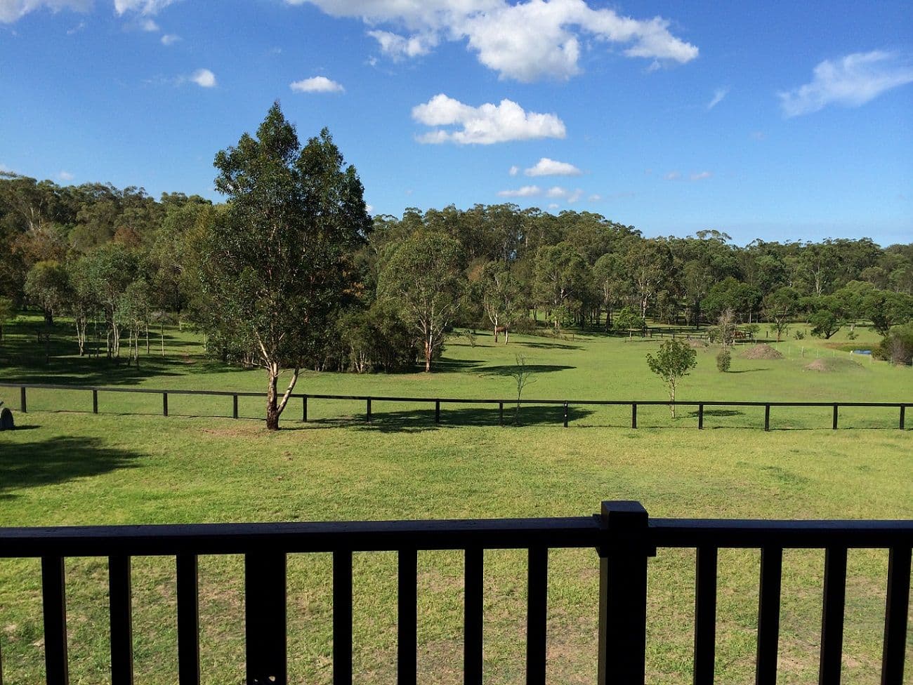 50 Brandy Hill Drive, BRANDY HILL NSW 2324, Brandy Hill - Thumbnail 2