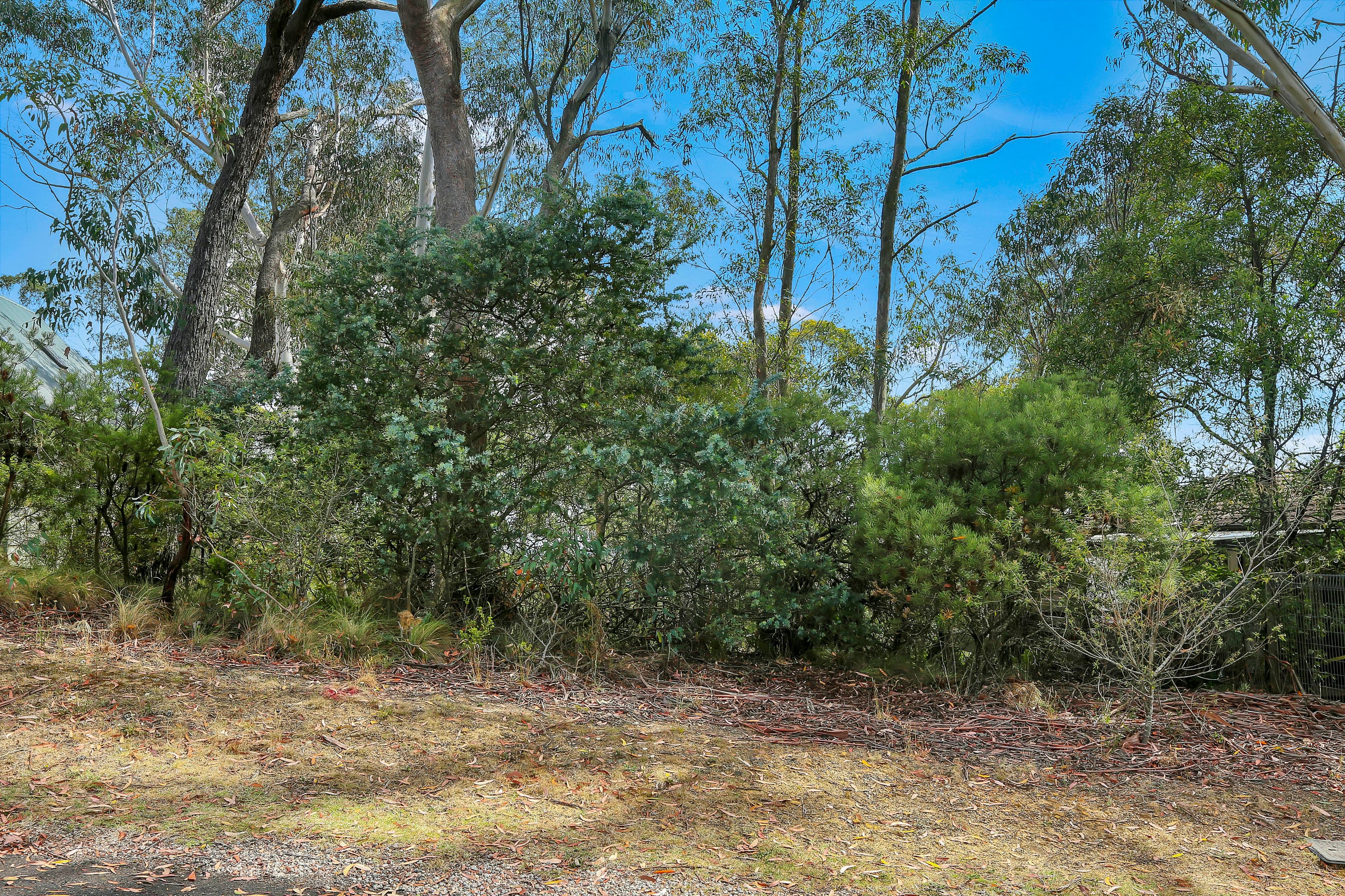42 Sylvania Street, Mount Victoria NSW 2786, Mount Victoria - Image 1