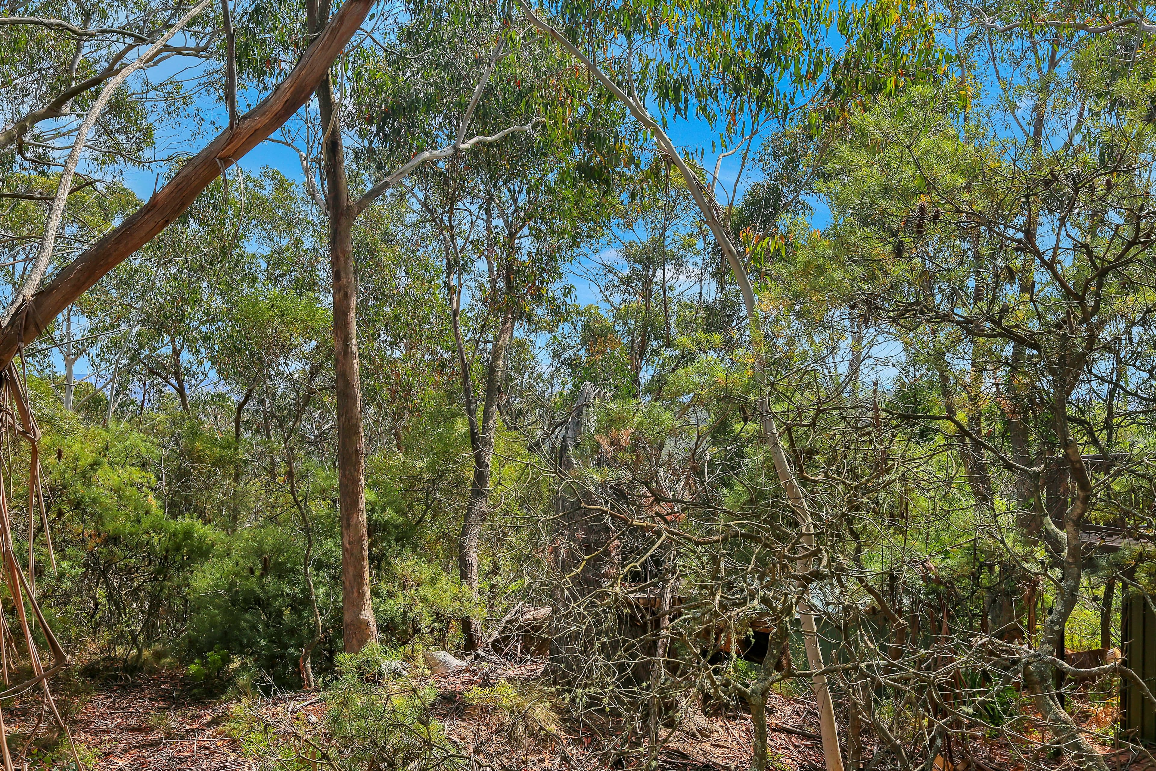42 Sylvania Street, Mount Victoria NSW 2786, Mount Victoria - Thumbnail 3