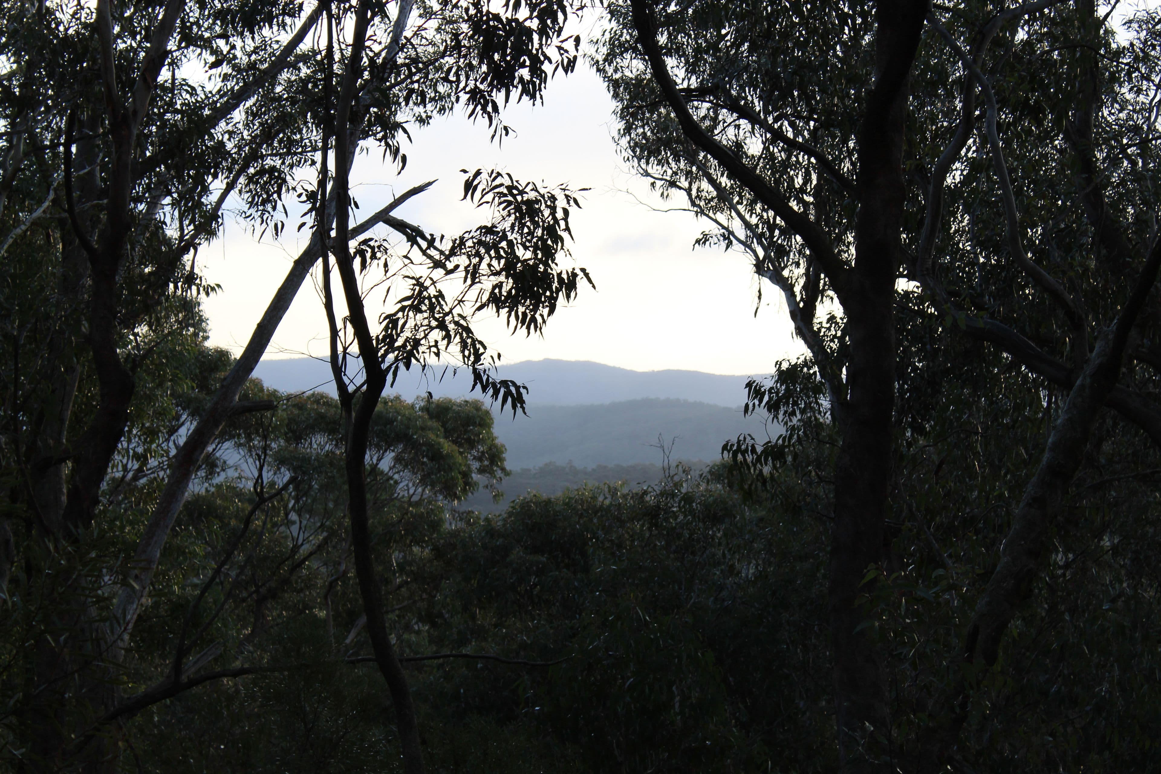42 Sylvania Street, Mount Victoria NSW 2786, Mount Victoria - Thumbnail 6