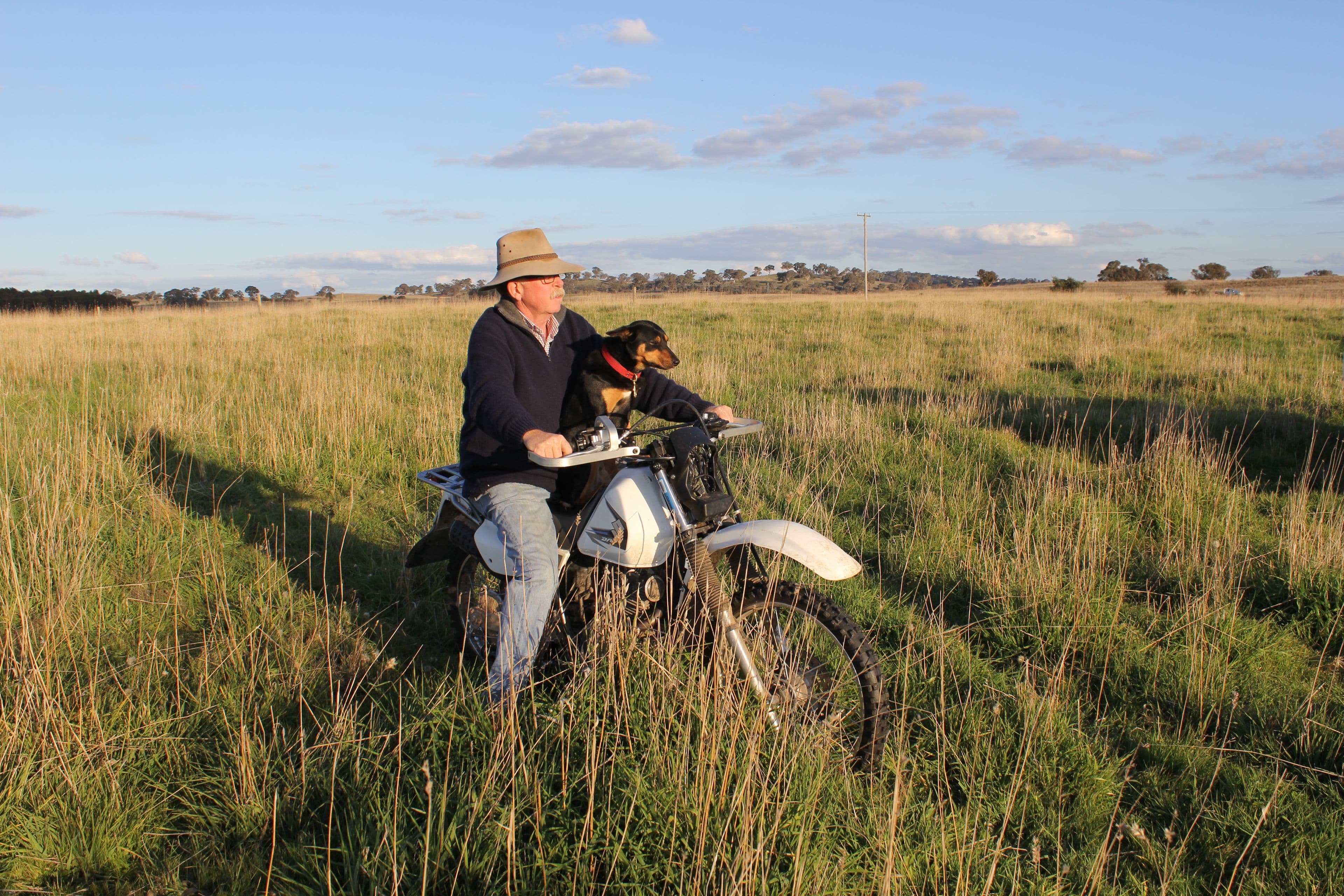 Lot 1 Wallaroo Road., Wallaroo NSW 2618, Wallaroo - Thumbnail 4