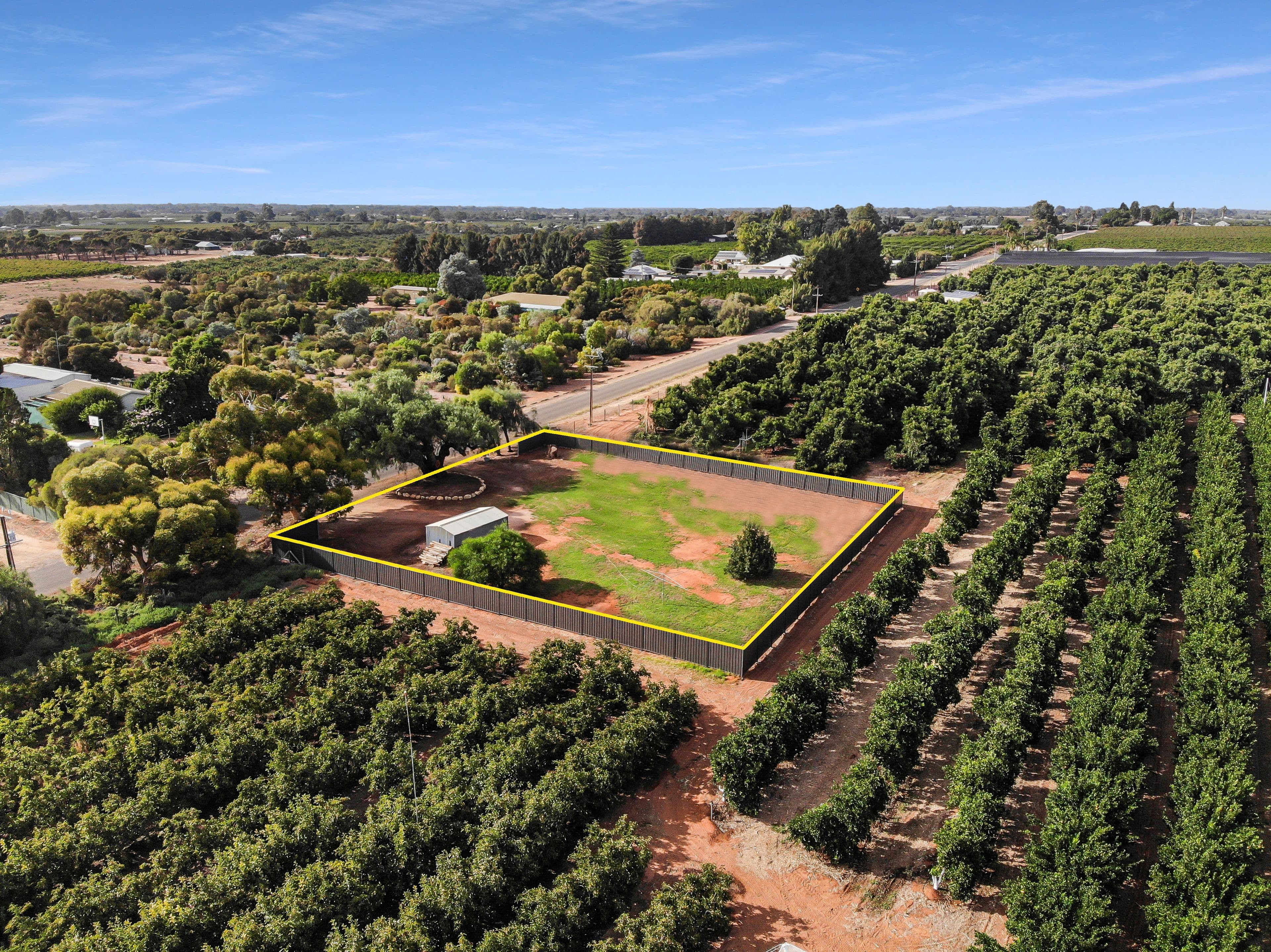 64 Tarcoola Street, Renmark SA 5341, Renmark West - Image 1