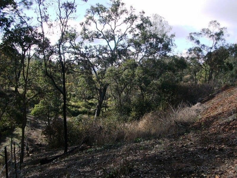 BROOKLANDS QLD 4615, Brooklands - Thumbnail 6