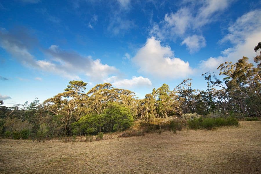 61 Ridgewell Road, Blackheath - Thumbnail 6