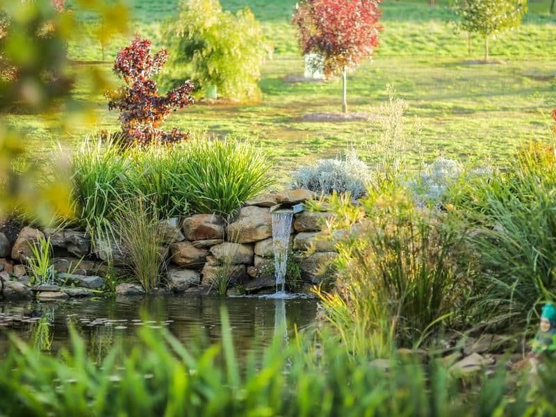 23 Albert Street, Gumeracha SA 5233, Gumeracha - Thumbnail 6