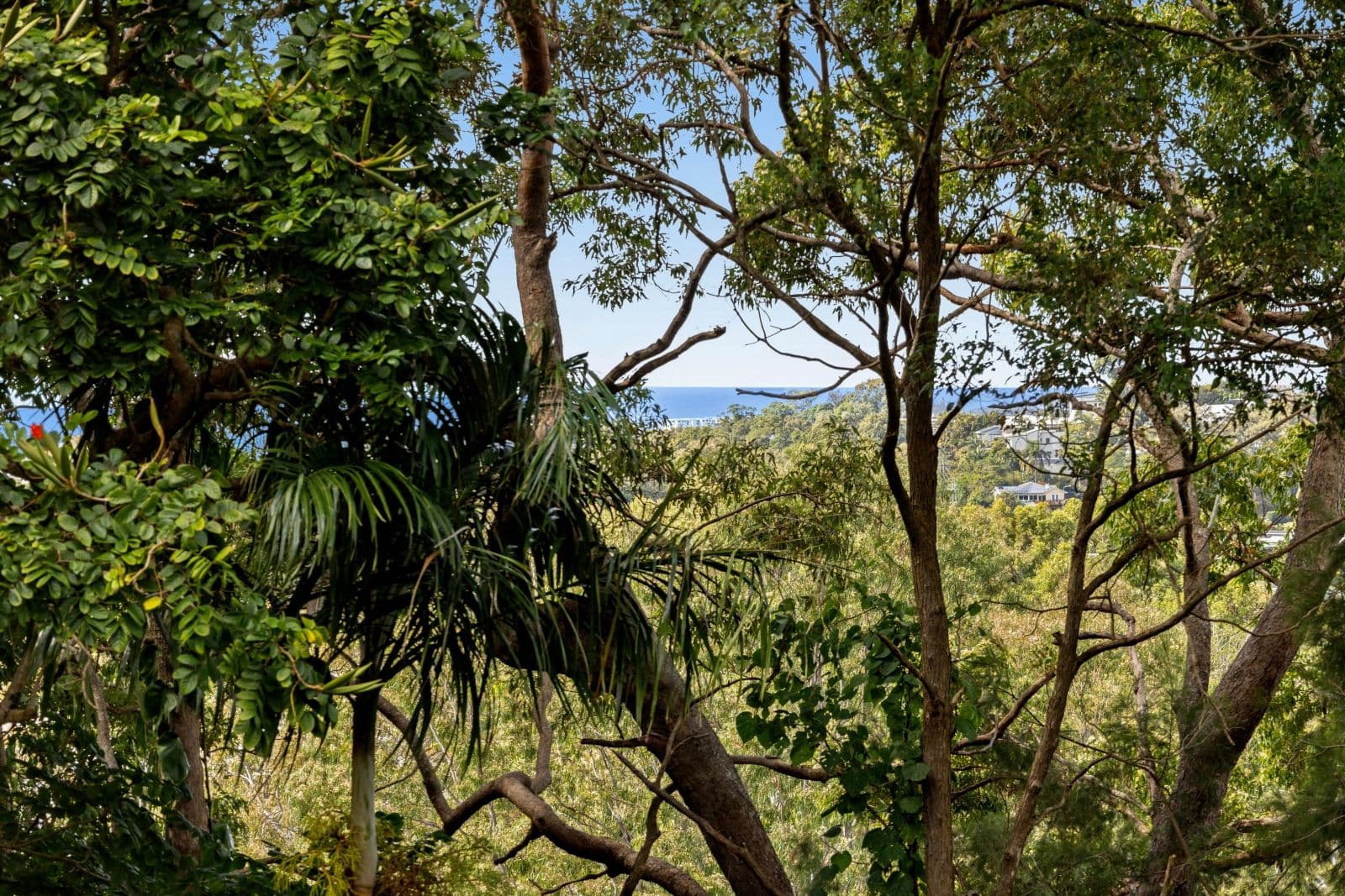 221-223 Mooloolaba Road, Buderim QLD 4556, Buderim - Thumbnail 2