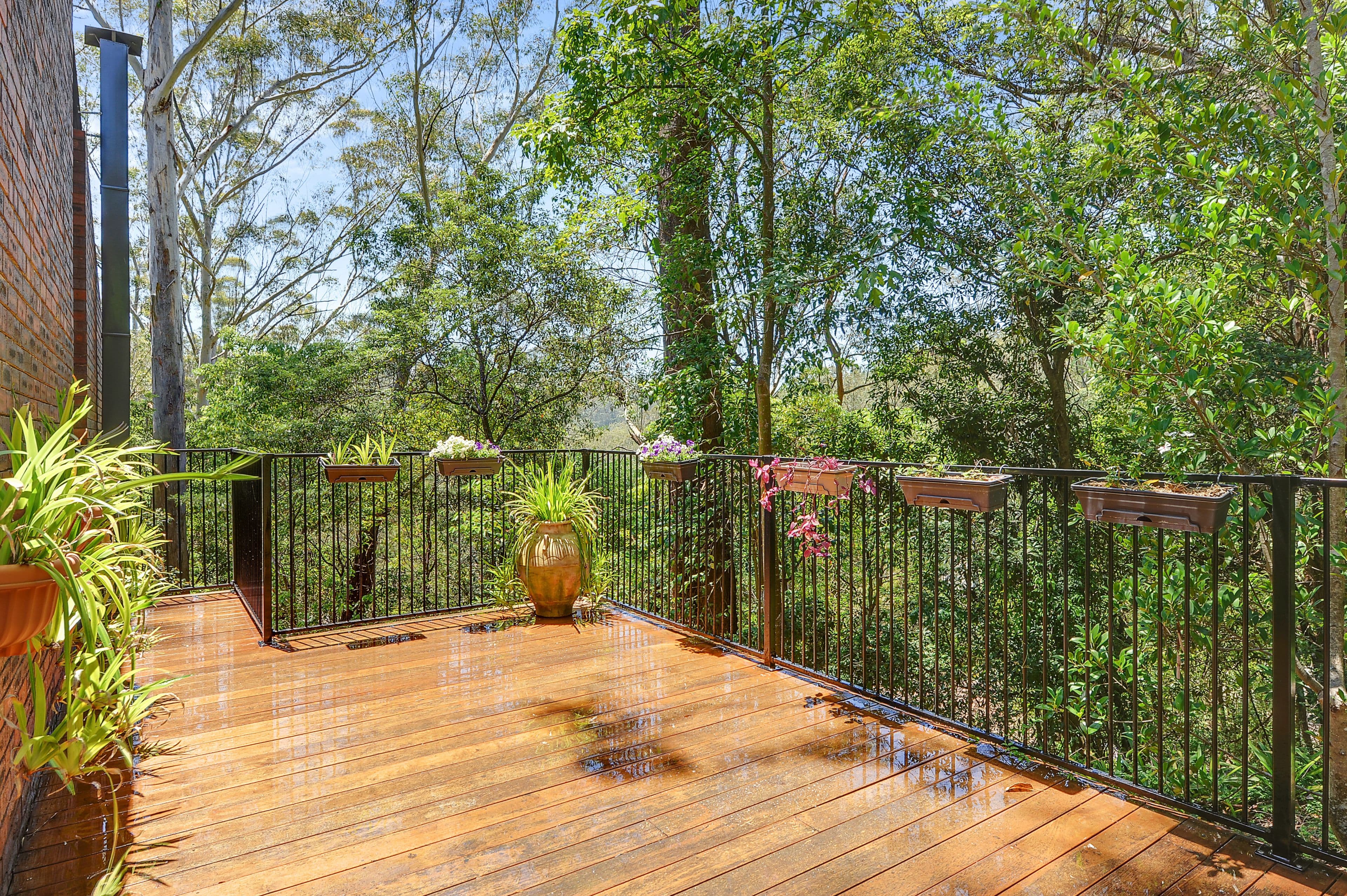 62 Rosemead Road, Hornsby - Thumbnail 4