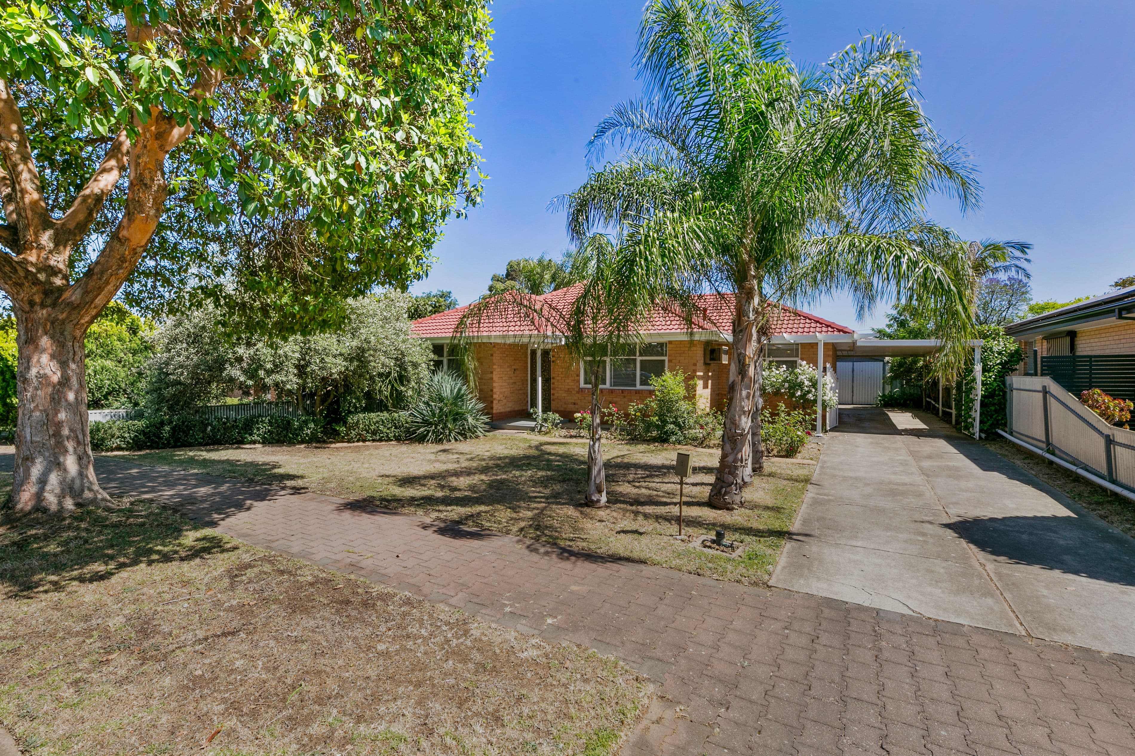 8 Birch Grove, Dernancourt SA 5075, Dernancourt - Image 1