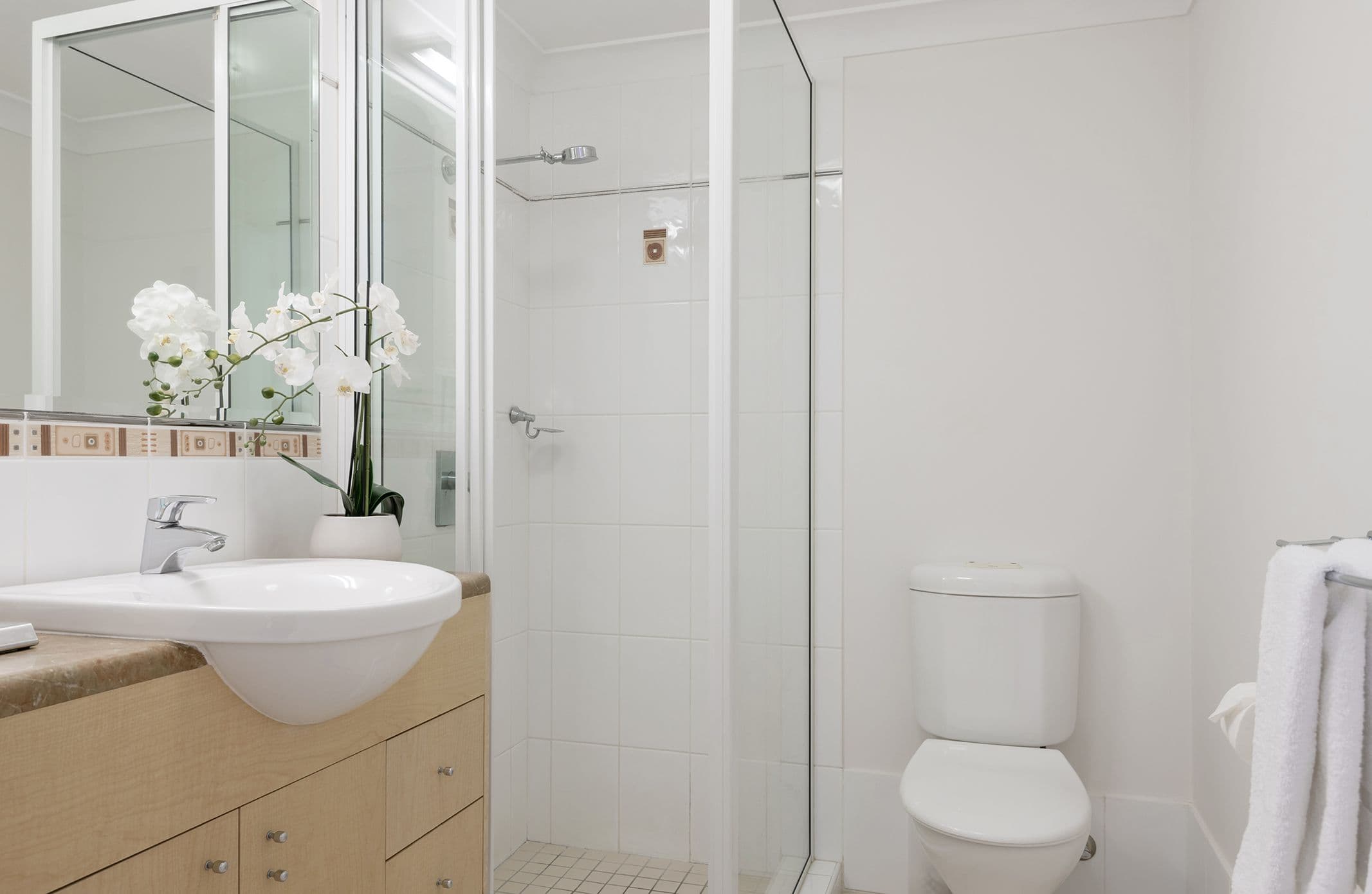22 Mudlo Street, Port Douglas QLD 4877, Port Douglas - Thumbnail 6