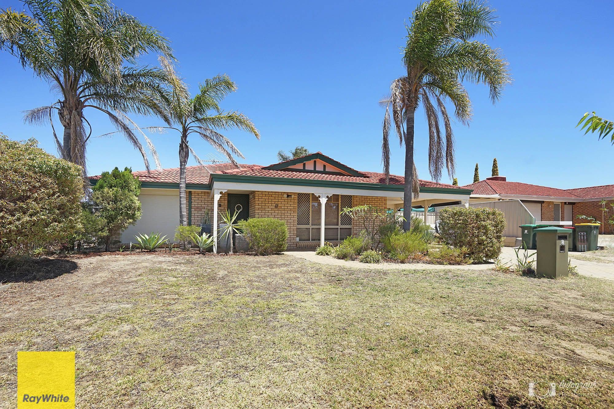 8 Nettle Terrace, Mirrabooka WA 6061, Mirrabooka - Image 1