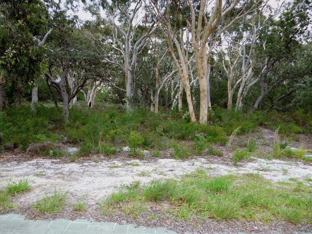 24 Hazelwood Rise, Callala Beach NSW 2540, Callala Beach - Image 1