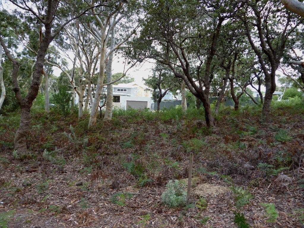 24 Hazelwood Rise, Callala Beach NSW 2540, Callala Beach - Thumbnail 5