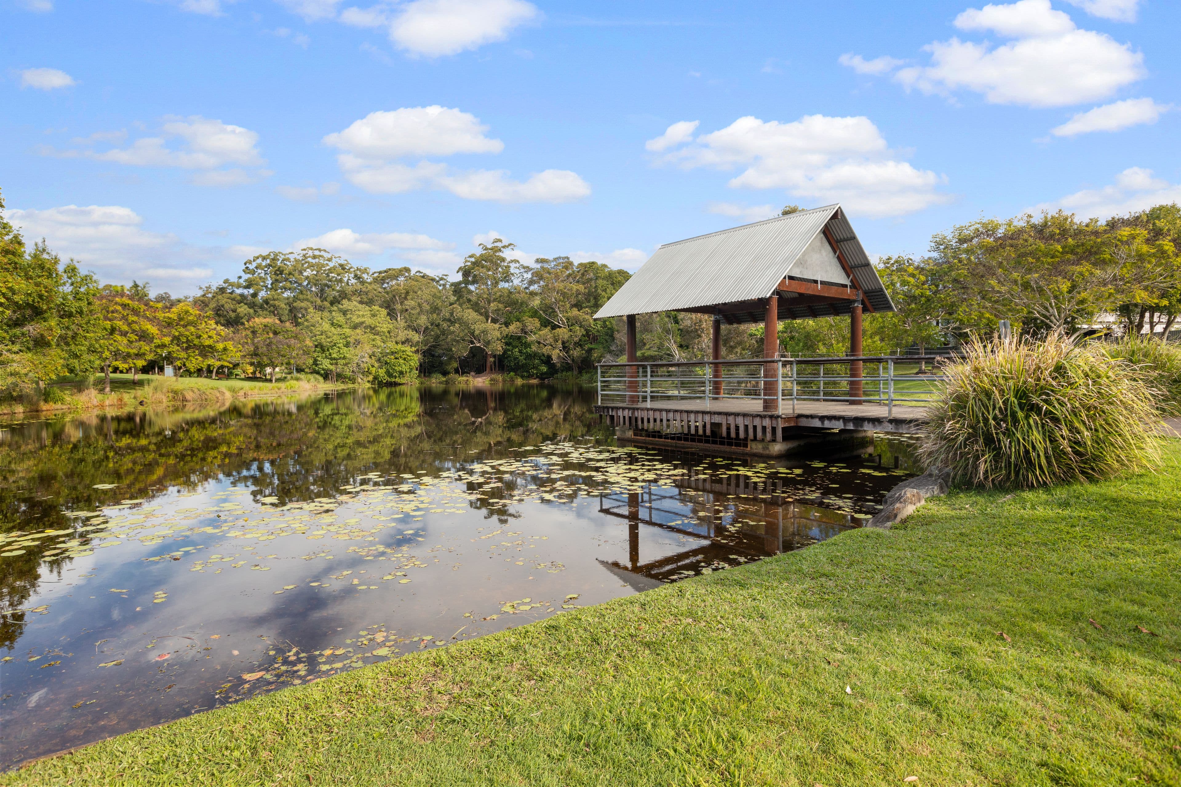 14 Petigrain Avenue, Palmwoods QLD 4555, Palmwoods - Thumbnail 3