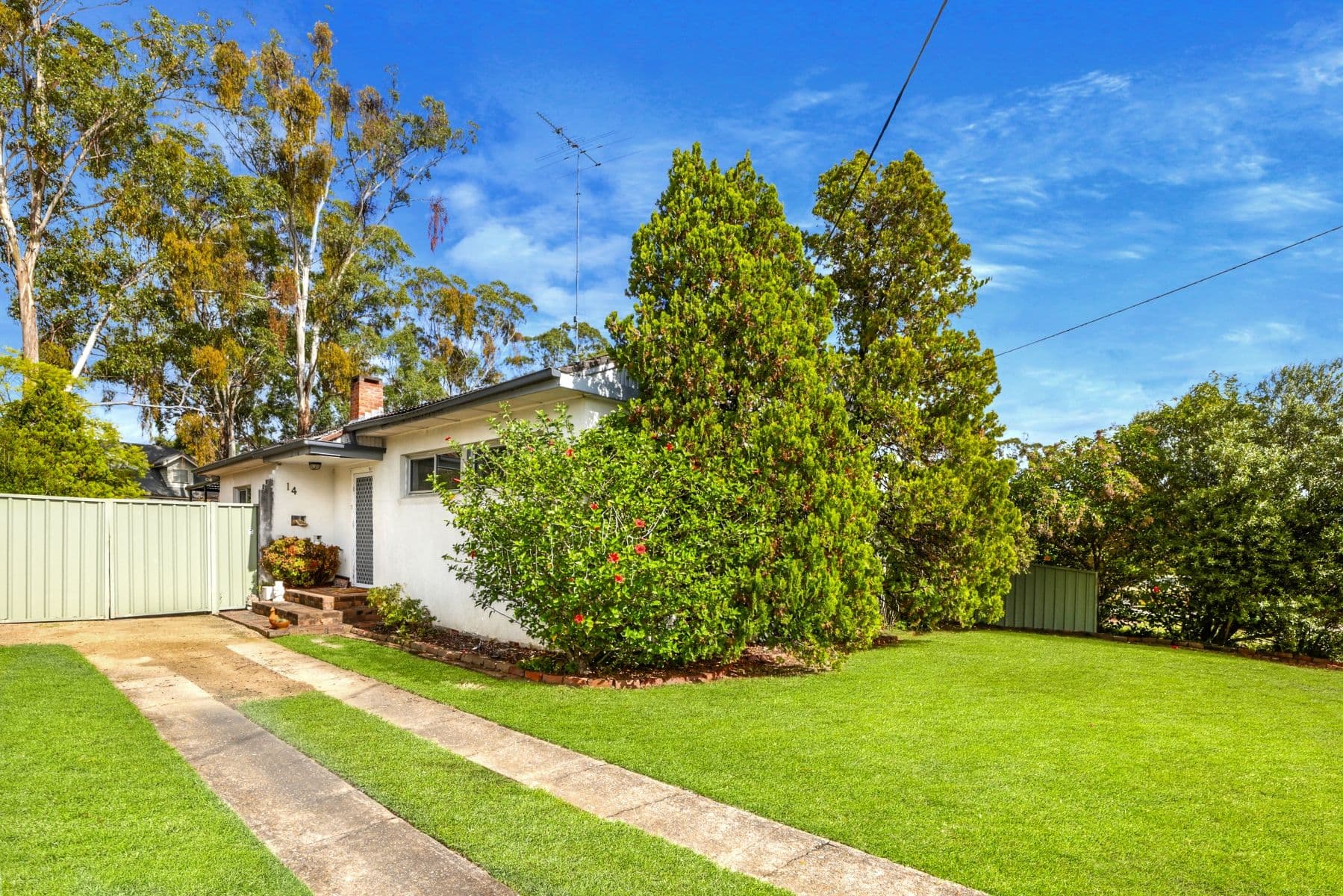 14 Cronin Street, Penrith NSW 2750, Penrith - Image 1