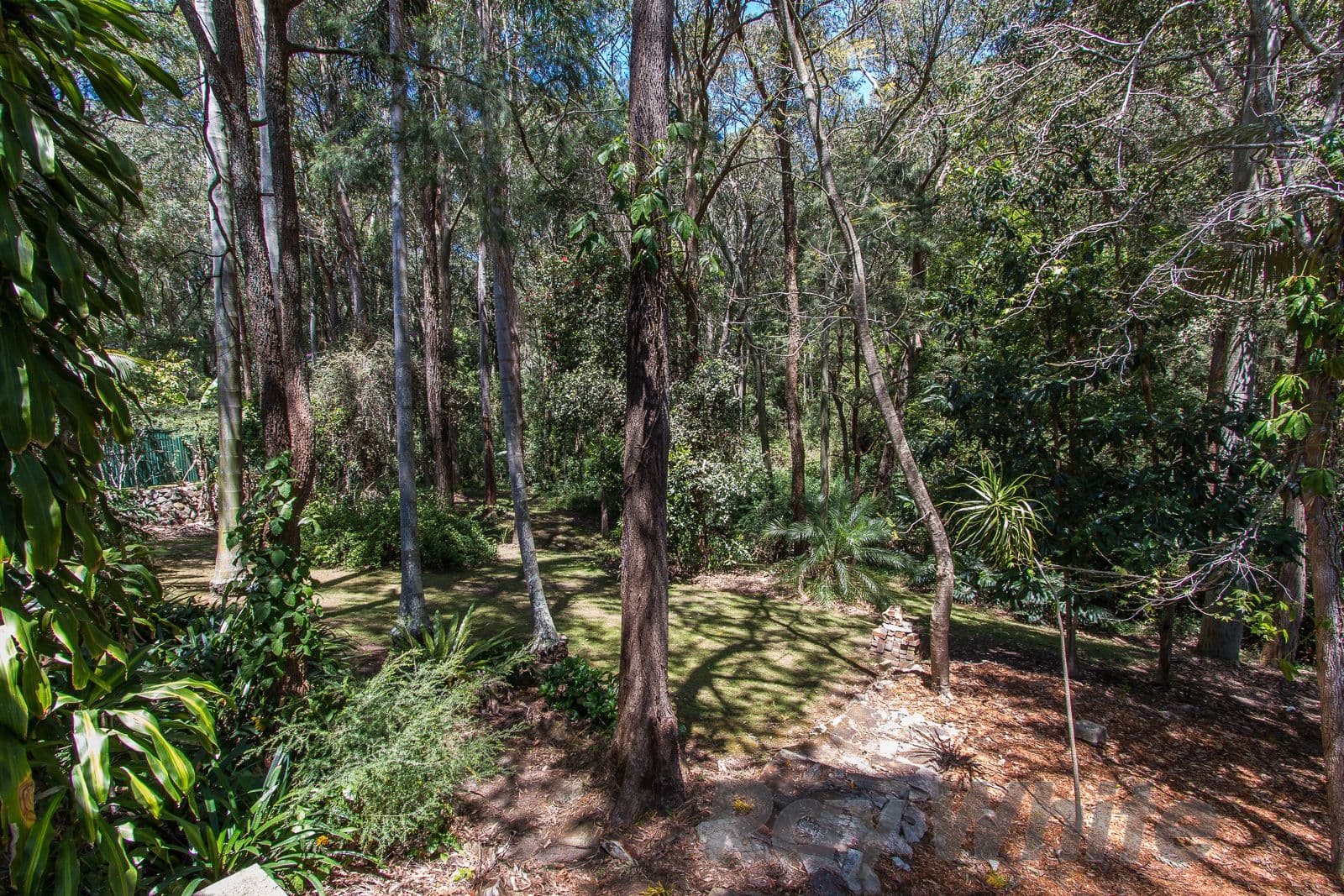 55 Kingsway Avenue, Rankin Park - Thumbnail 2