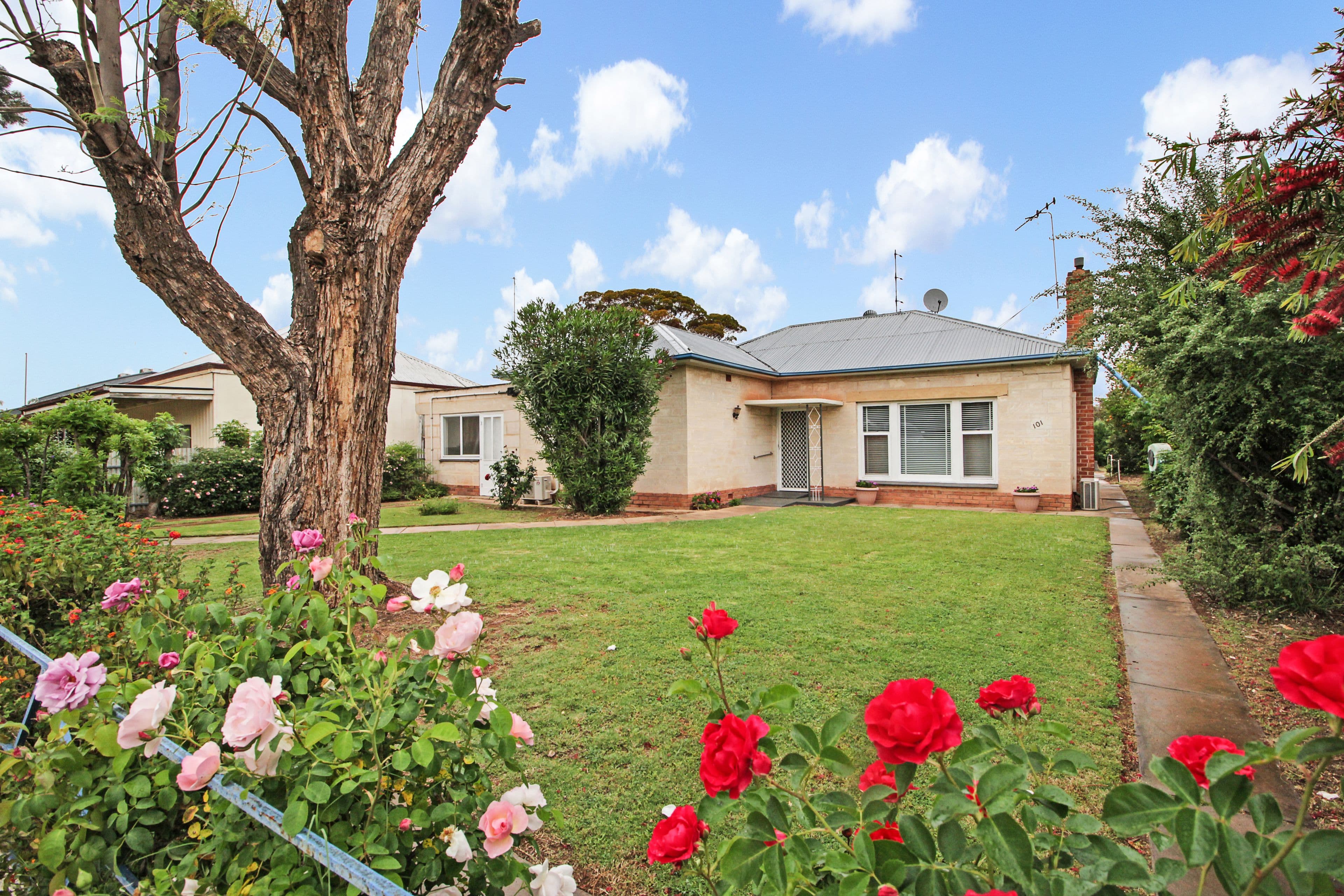 101 Ral Ral Avenue, Renmark SA 5341, Renmark - Image 1