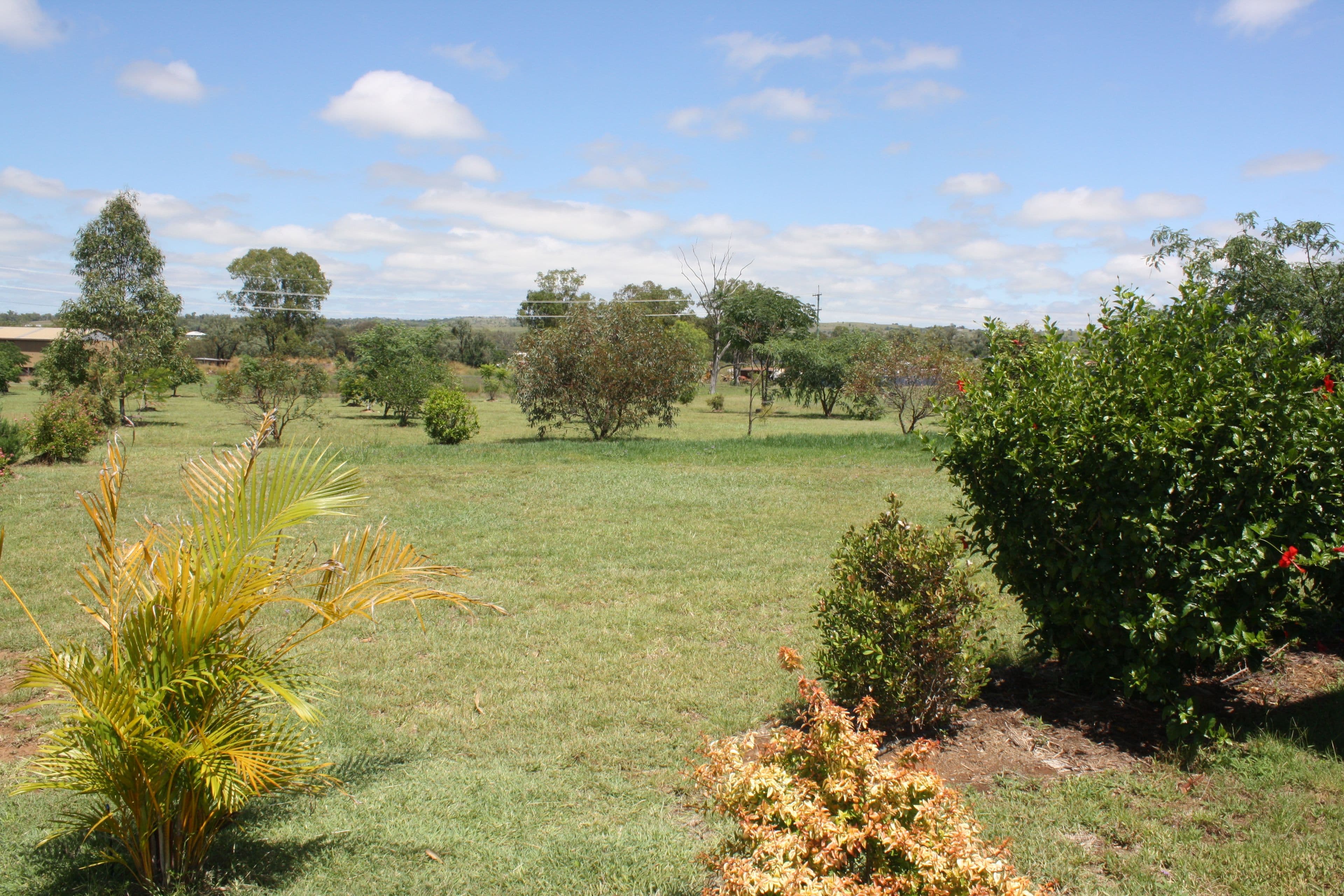 90 Frank McCauley Street, Mundubbera QLD 4626, Mundubbera - Thumbnail 4