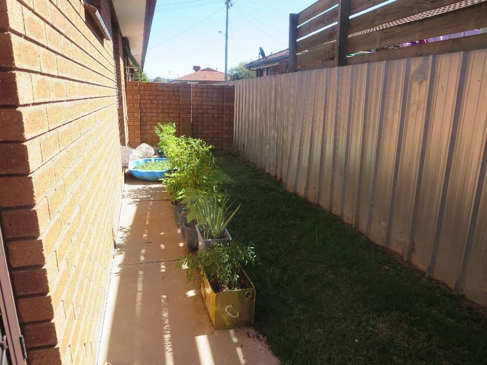 384 Kaylock Road, Lavington NSW 2641, Lavington - Thumbnail 4
