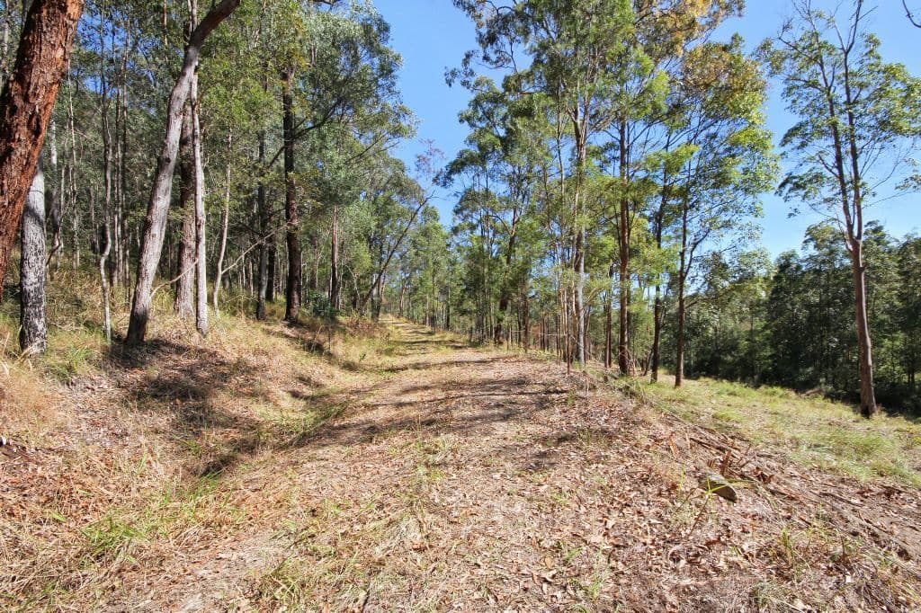 136 Aylesham Drive, BONOGIN QLD 4213, Bonogin - Thumbnail 6