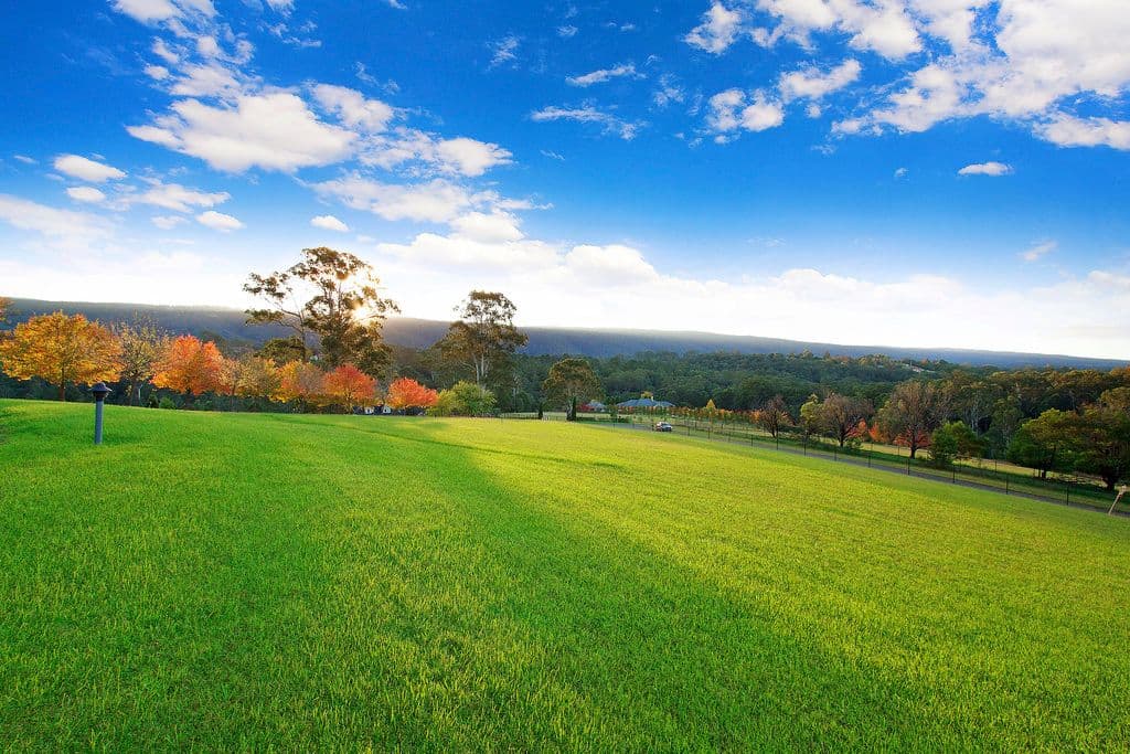 53 Oswald Park Place, Kurrajong NSW 2758, Kurrajong - Thumbnail 4