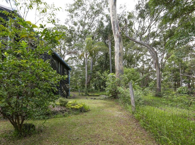 16 Endota Street, Buderim QLD 4556, Buderim - Thumbnail 6