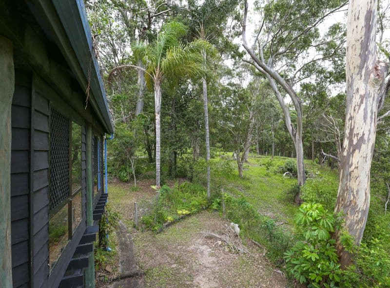 16 Endota Street, Buderim QLD 4556, Buderim - Thumbnail 8