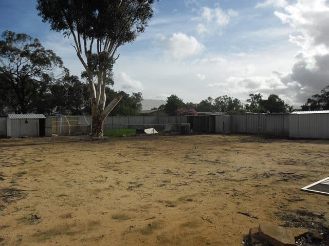 36 Williamson Street, THREE SPRINGS WA 6519, Three Springs - Thumbnail 4