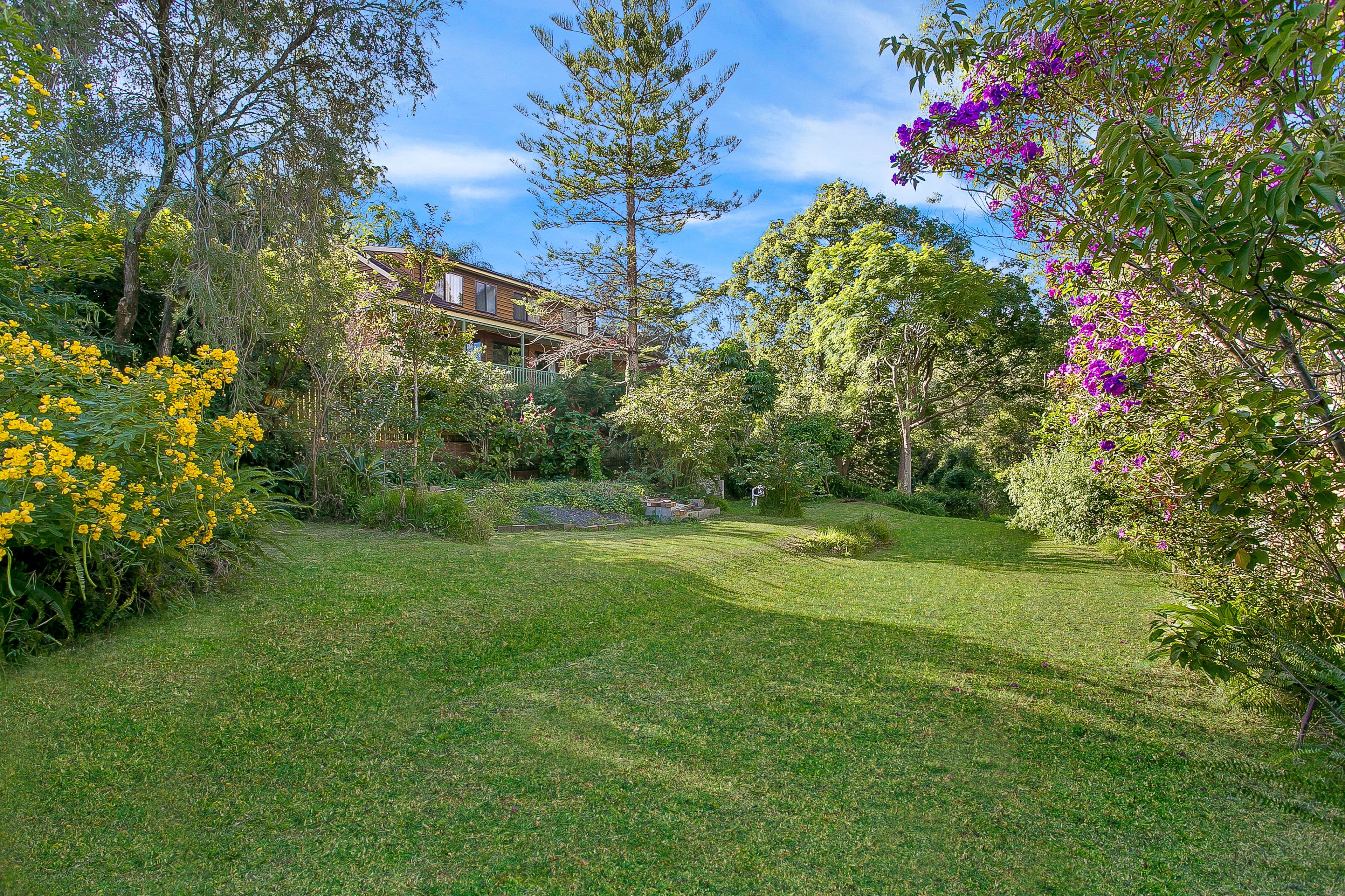 44 Forrest Road, Ryde NSW 2112, Ryde - Thumbnail 2