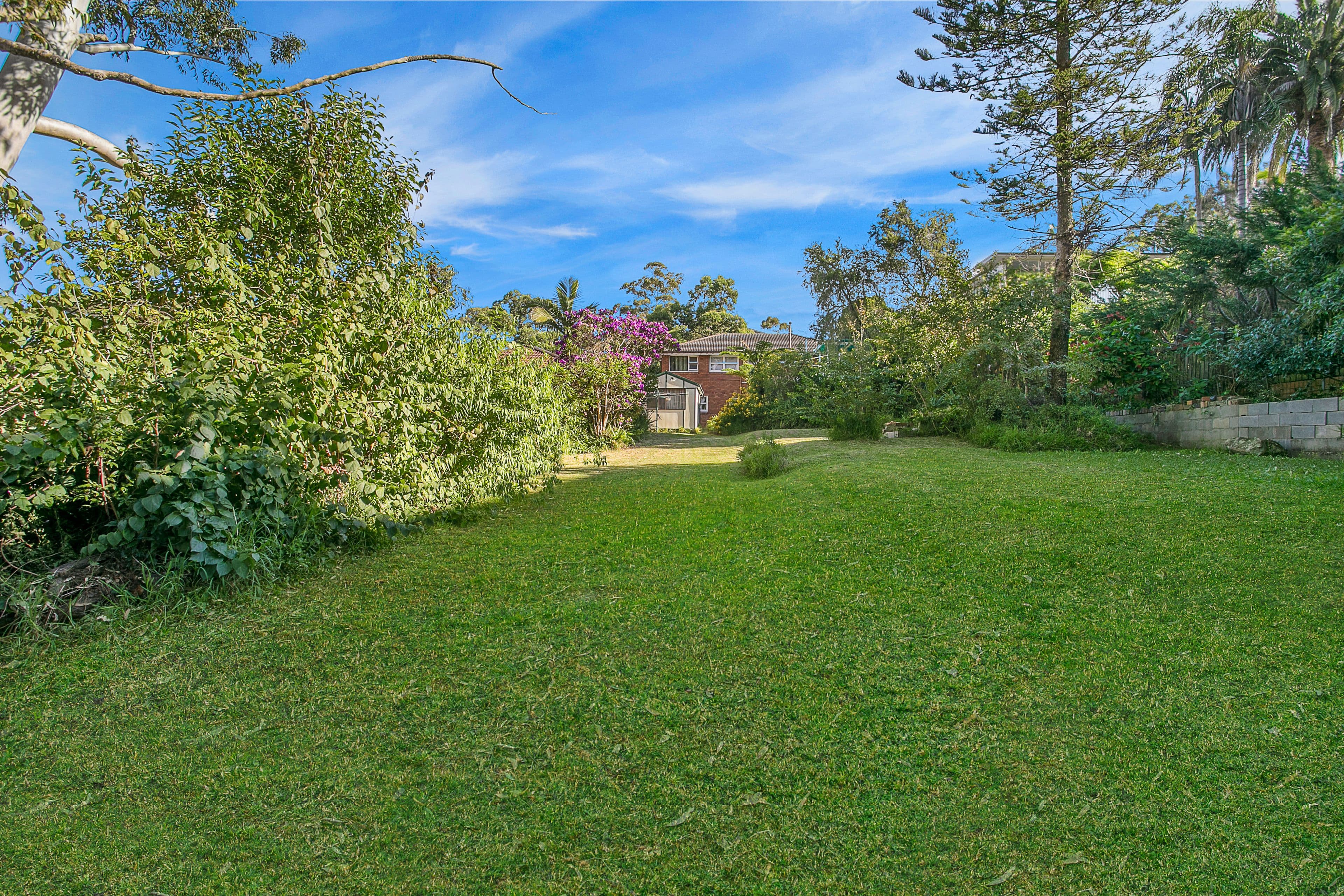 44 Forrest Road, Ryde NSW 2112, Ryde - Thumbnail 4