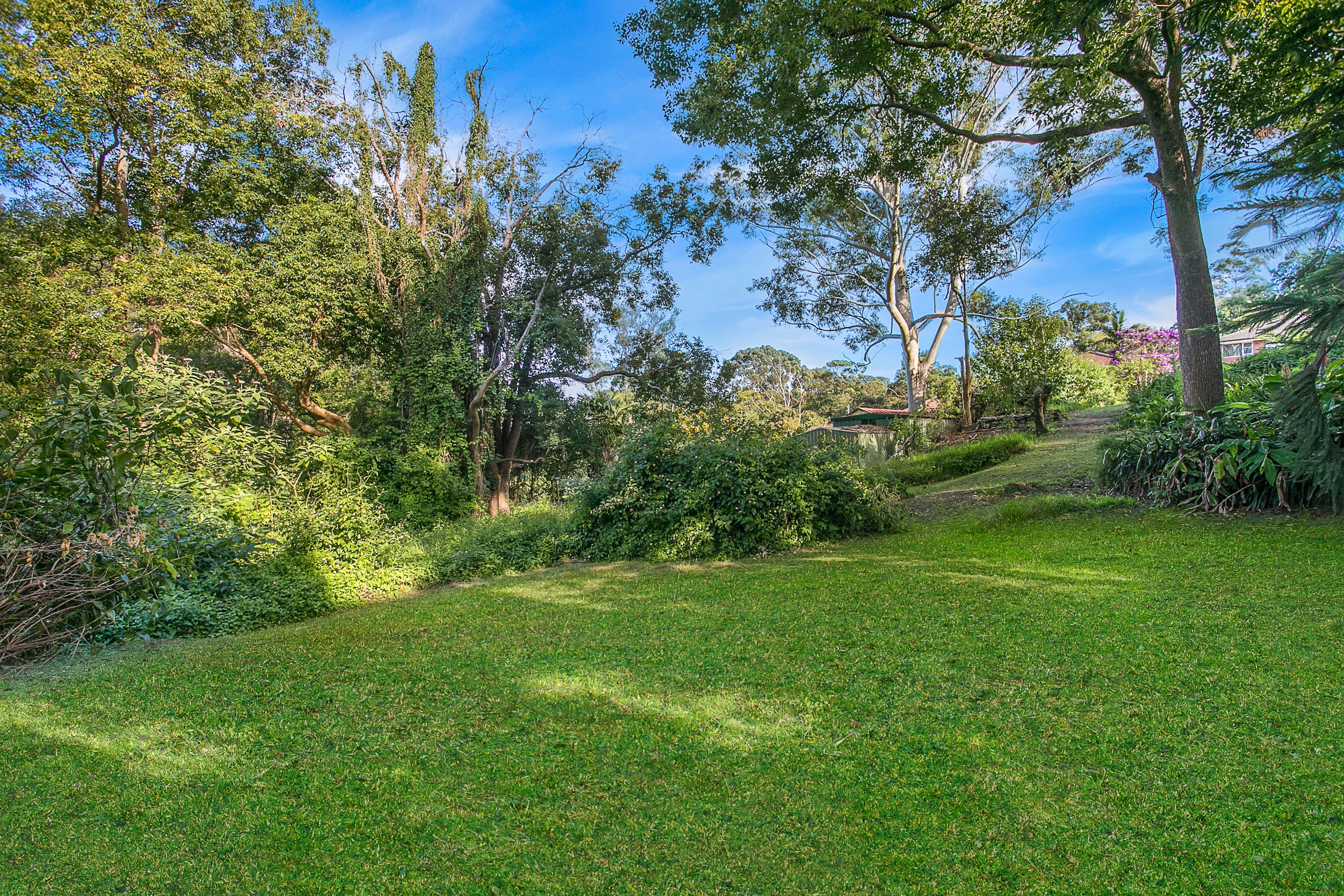 44 Forrest Road, Ryde NSW 2112, Ryde - Thumbnail 6