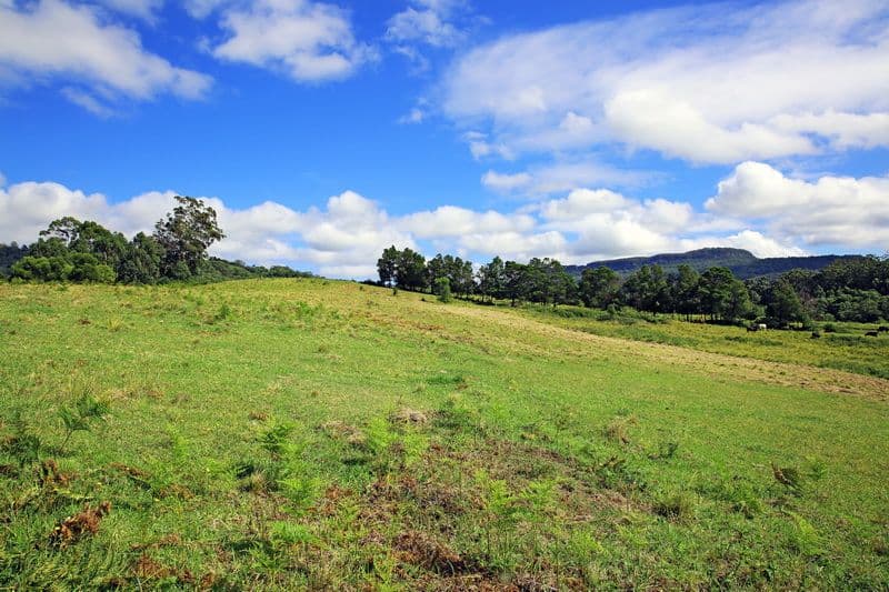 Lot 329 Parker Crecent, BERRY NSW 2535, Berry - Thumbnail 8