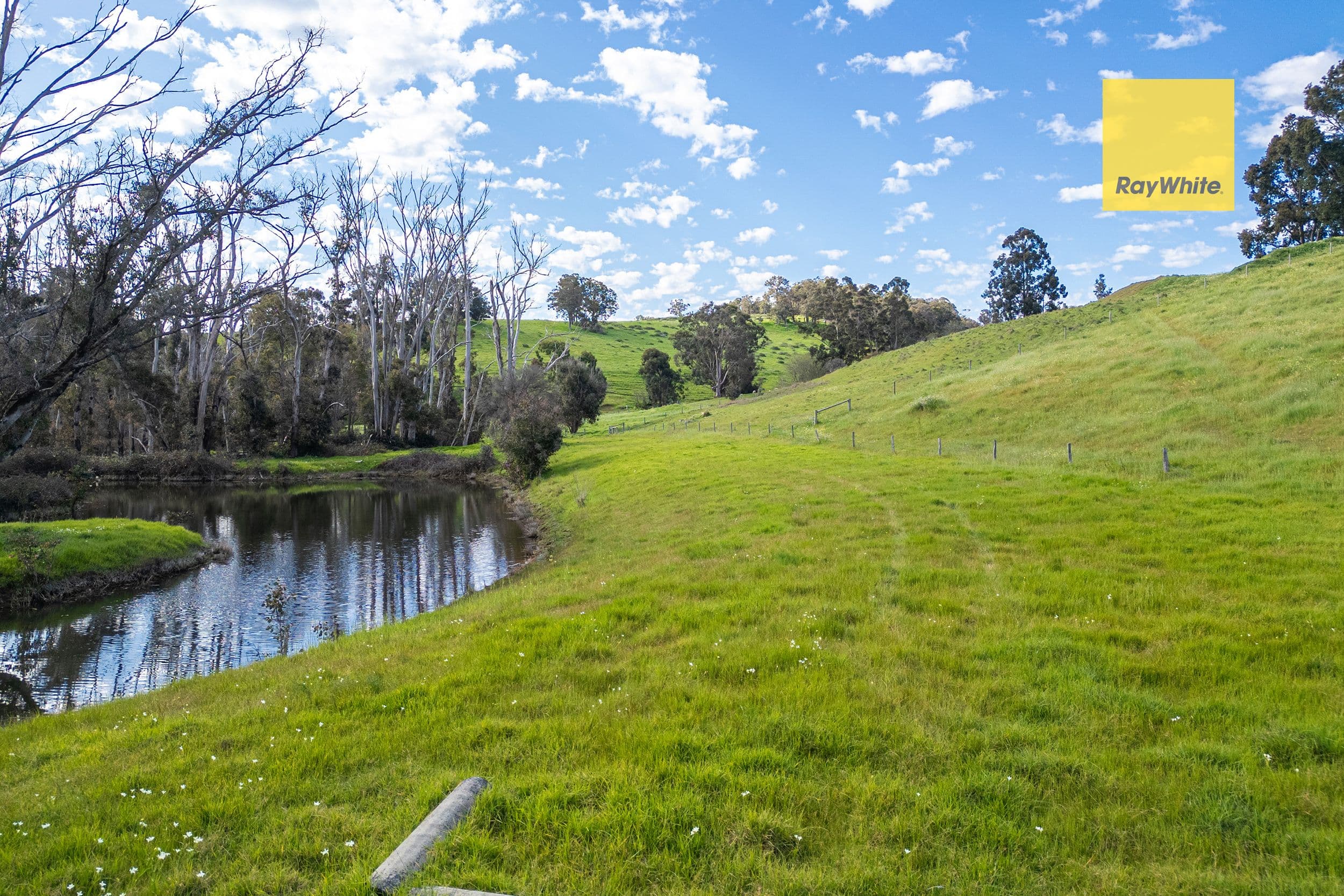 5965 Vasse Highway, Nannup WA 6275, Nannup - Thumbnail 2