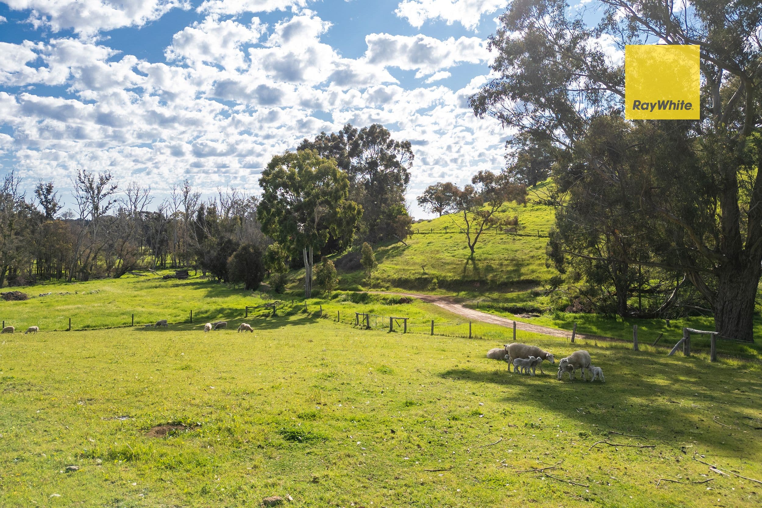 5965 Vasse Highway, Nannup WA 6275, Nannup - Thumbnail 8
