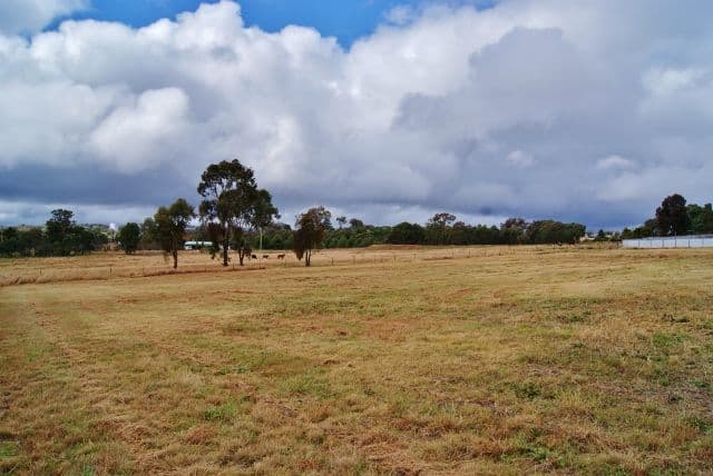72 Briggs Street, YOUNG NSW 2594, Young - Thumbnail 6