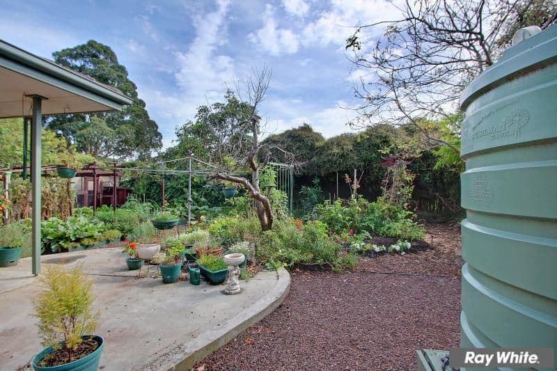 16 Orlanda Court, MORNINGTON VIC 3931, Mornington - Thumbnail 4
