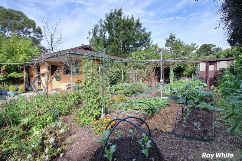 16 Orlanda Court, MORNINGTON VIC 3931, Mornington - Thumbnail 5
