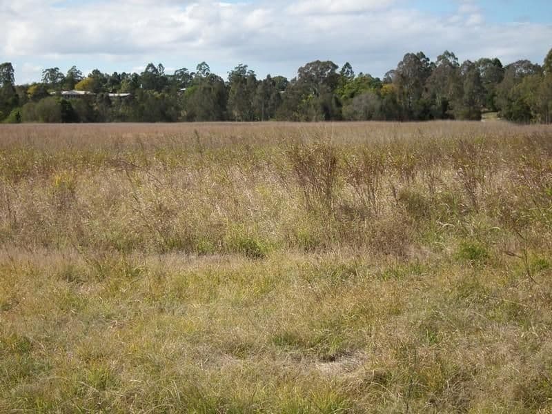 Lot 1 River Road, MARYBOROUGH QLD 4650, Maryborough - Thumbnail 6