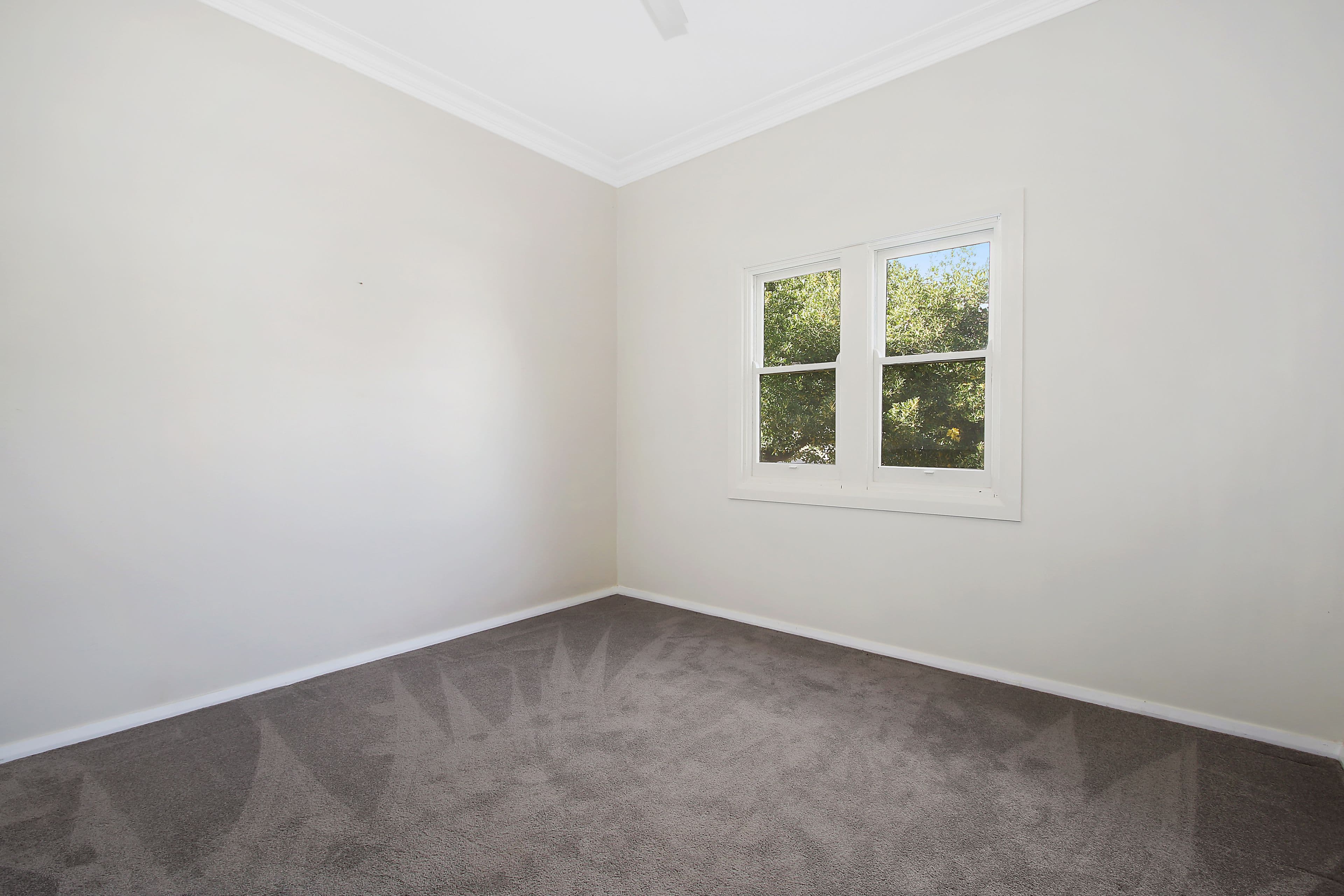 529 Hague Street, Lavington - Thumbnail 8