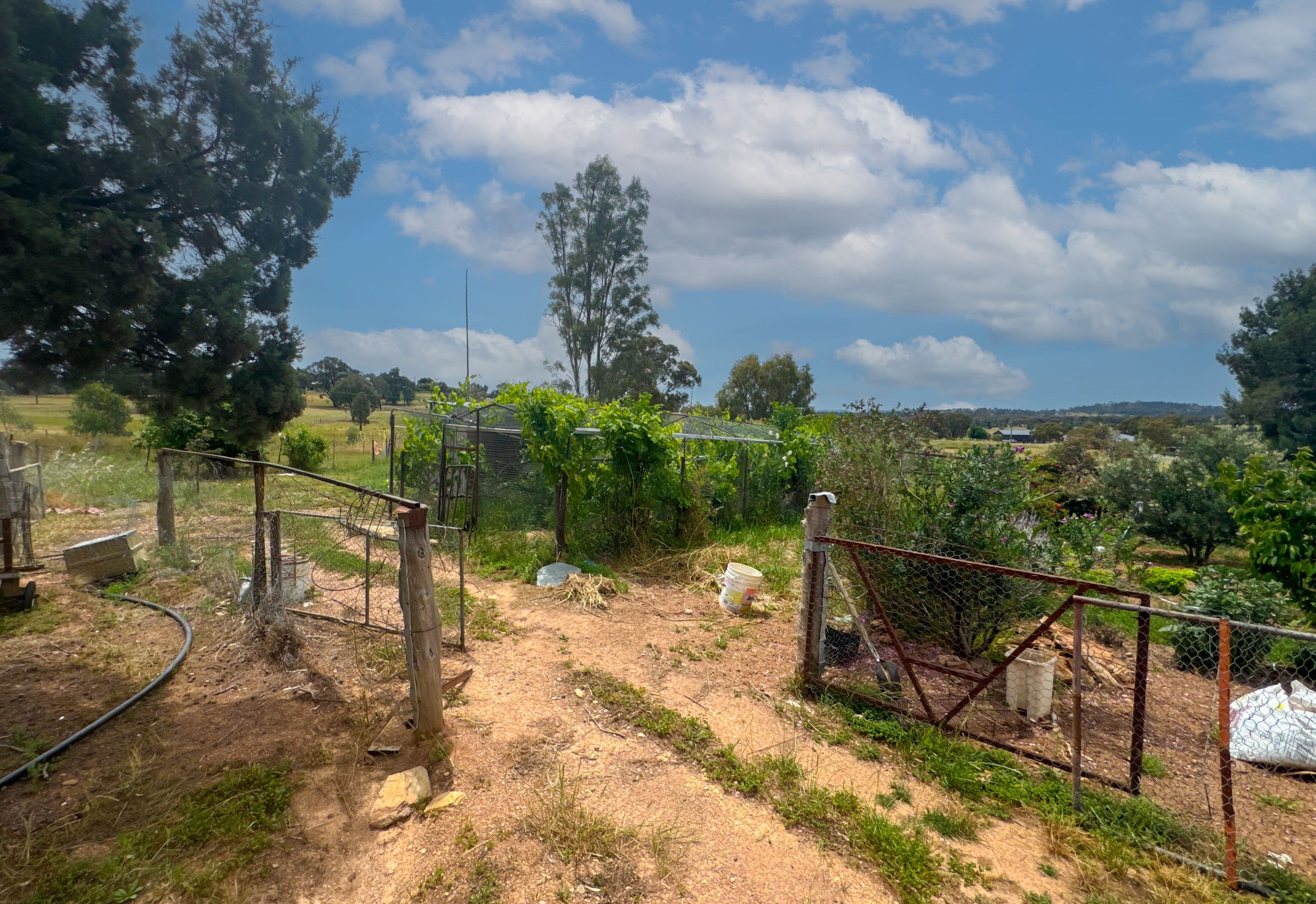 110 Heraghty Road, Parkes NSW 2870, Parkes - Thumbnail 7