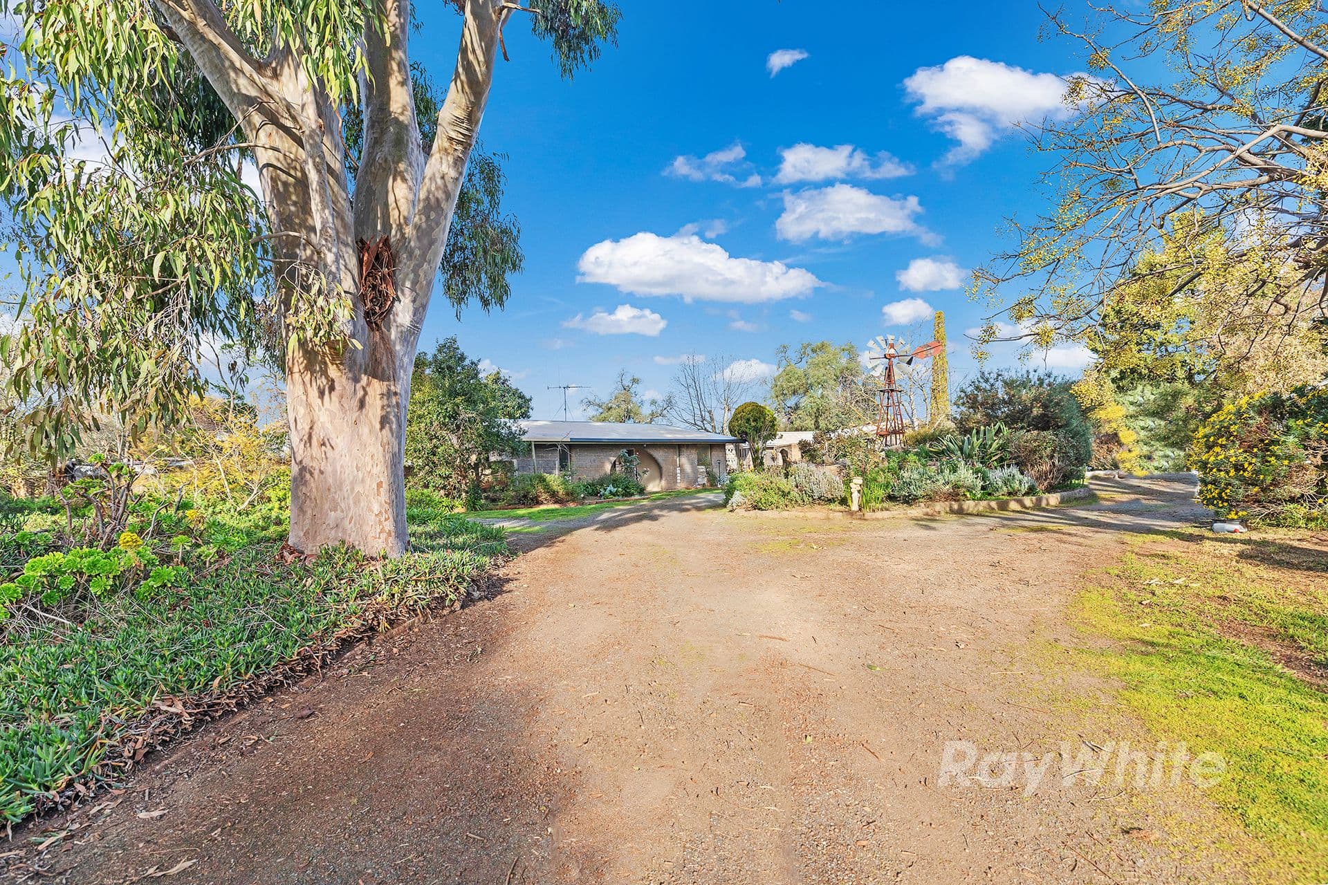 9-11 Park Road, Elmore VIC 3558, Elmore - Thumbnail 3