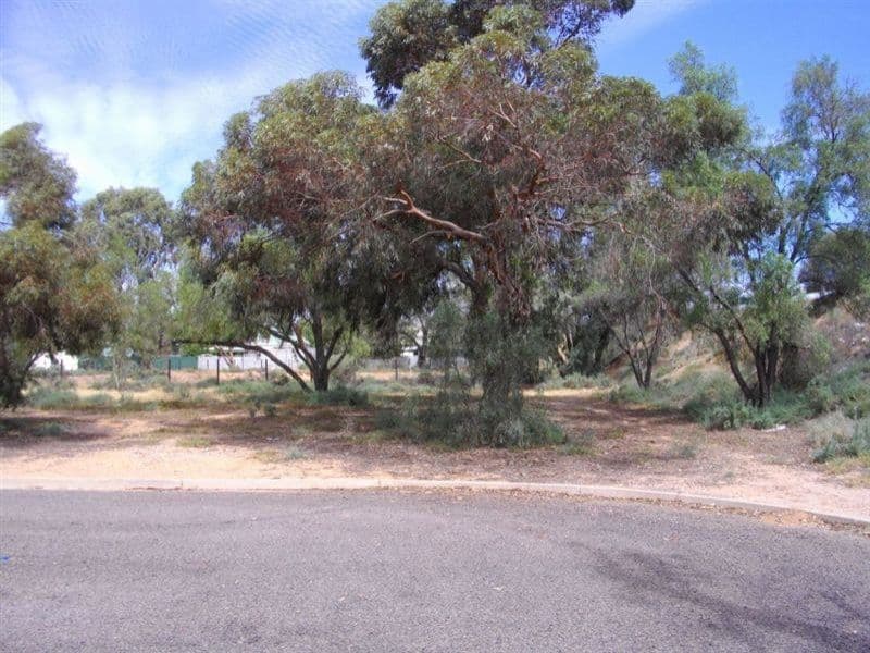 51 Mackay Street, PORT AUGUSTA SA 5700, Port Augusta - Thumbnail 8