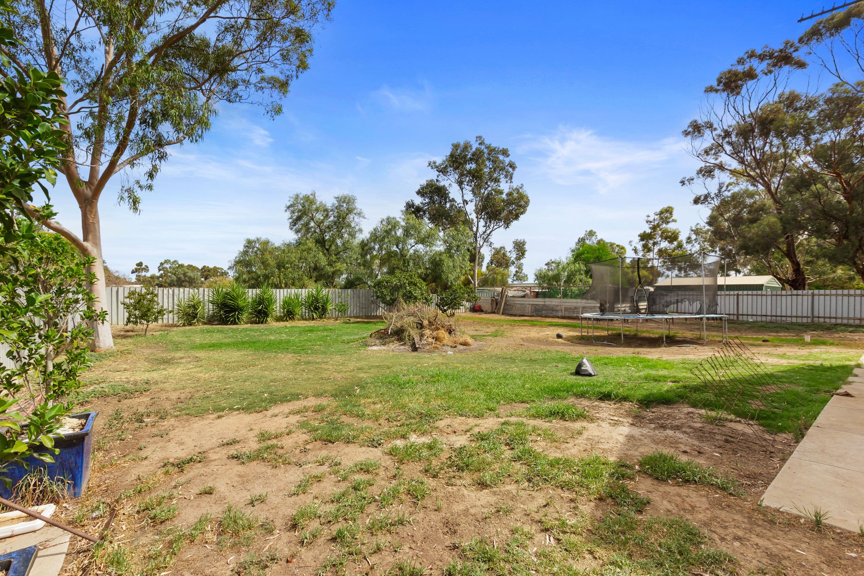 8 Dawkins Road, Two Wells SA 5501, Two Wells - Thumbnail 4