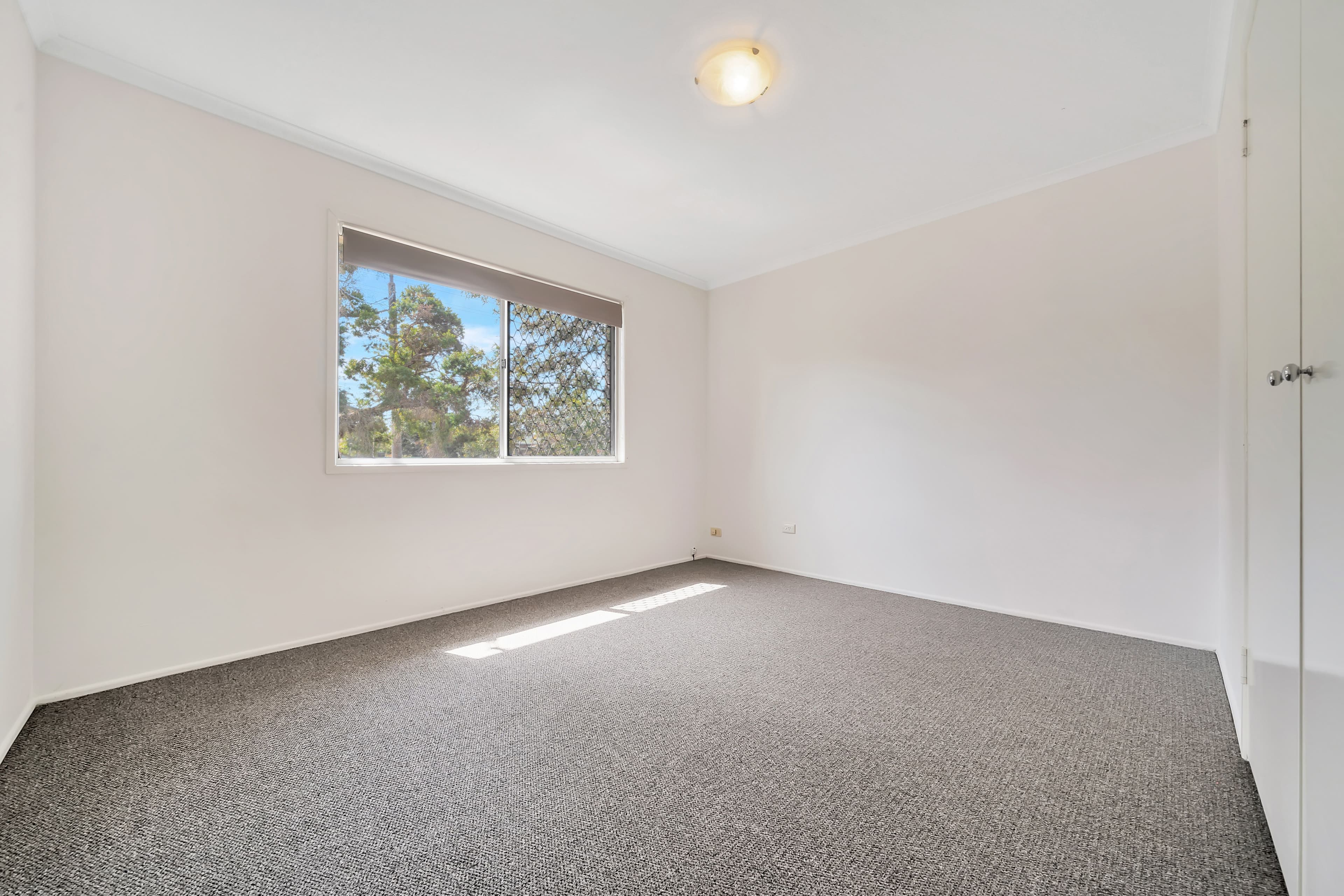 127 Waratah Drive, Crestmead QLD 4132, Crestmead - Thumbnail 5