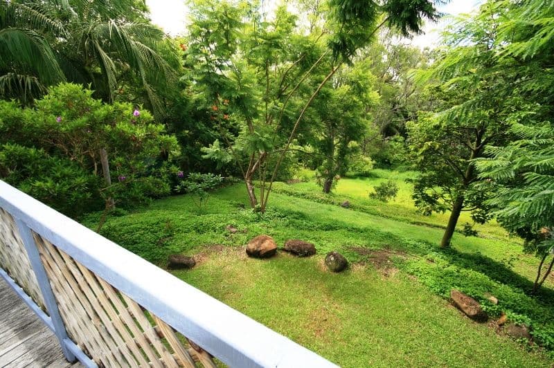 14 Ladds Ridge Road, BURLEIGH HEADS QLD 4220, Burleigh Heads - Thumbnail 7