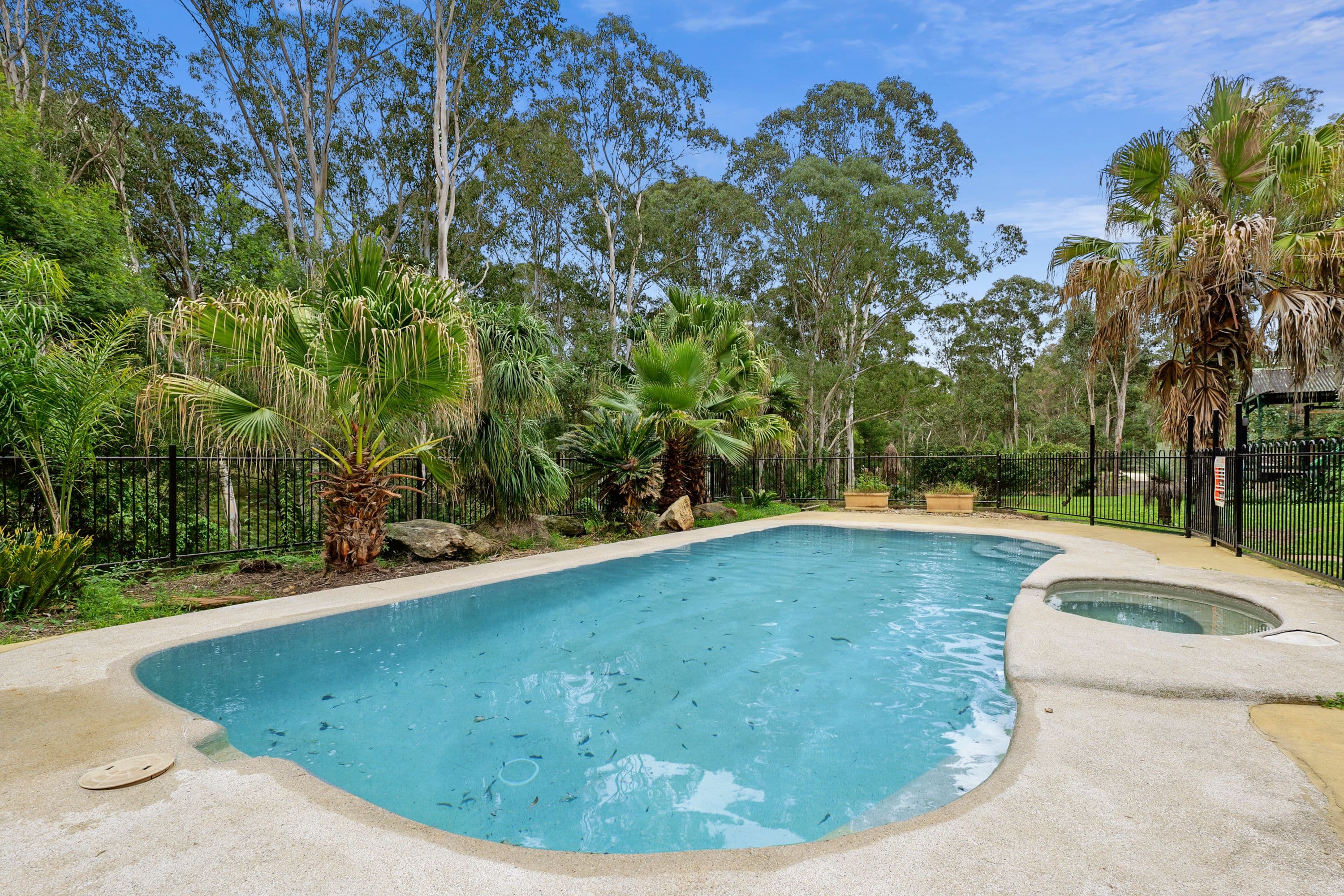 93 Kentucky Drive, Glossodia NSW 2756, Glossodia - Thumbnail 4