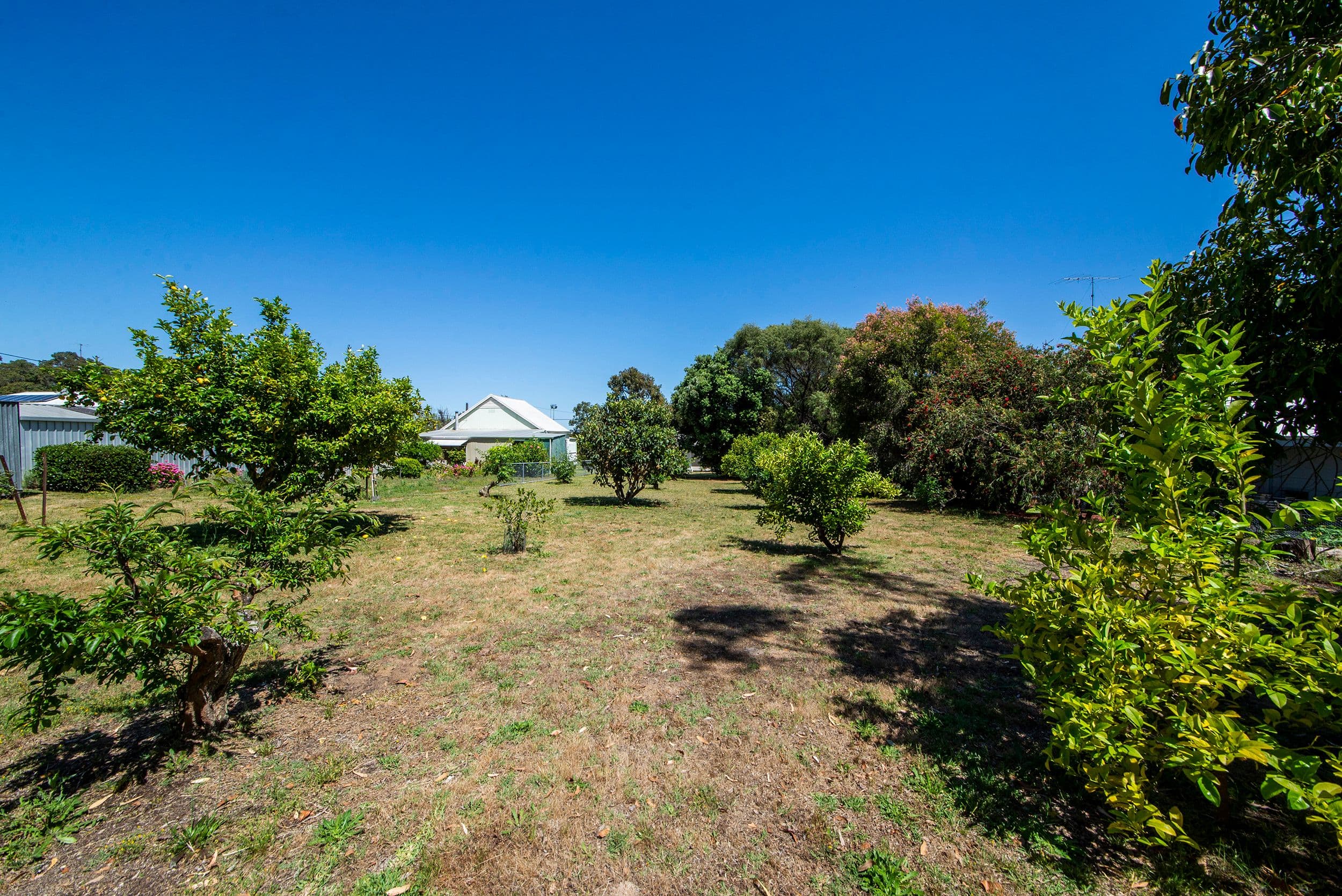 125 Warren Road, Nannup WA 6275, Nannup - Thumbnail 3