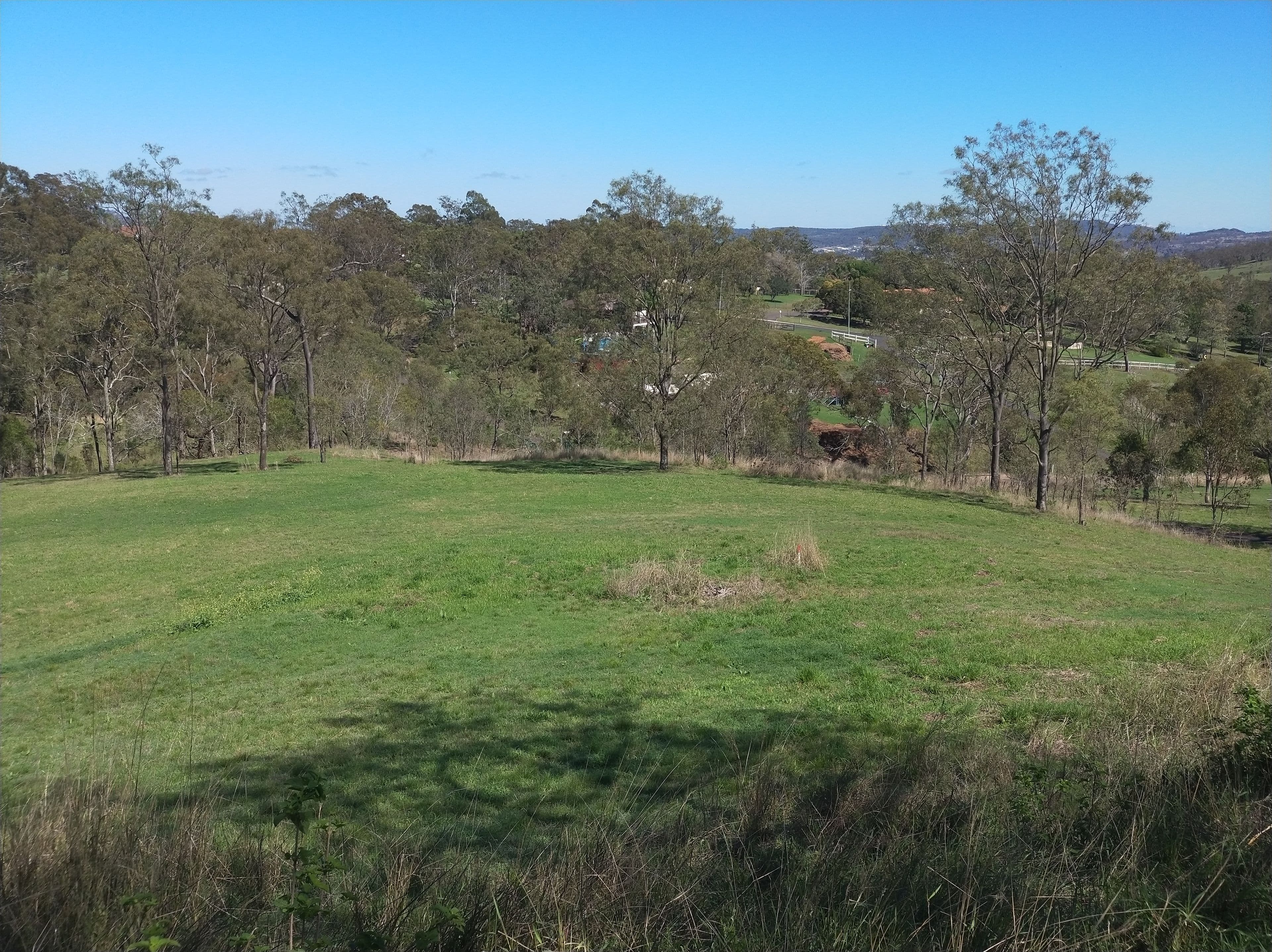 106 Greenwattle Street, Cranley QLD 4350, Cranley - Image 1