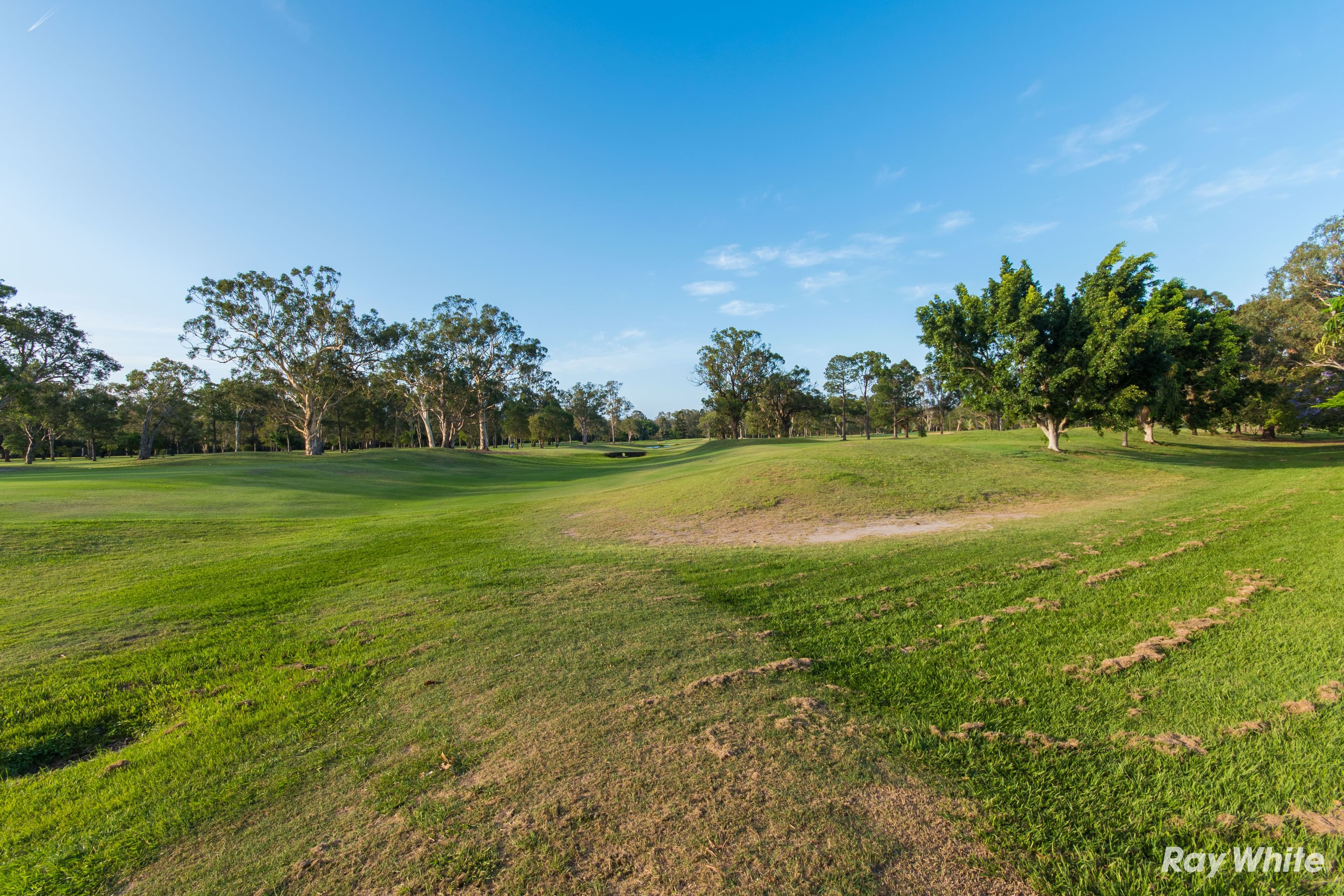 50 Elliott Road, Banyo QLD 4014, Banyo - Thumbnail 2