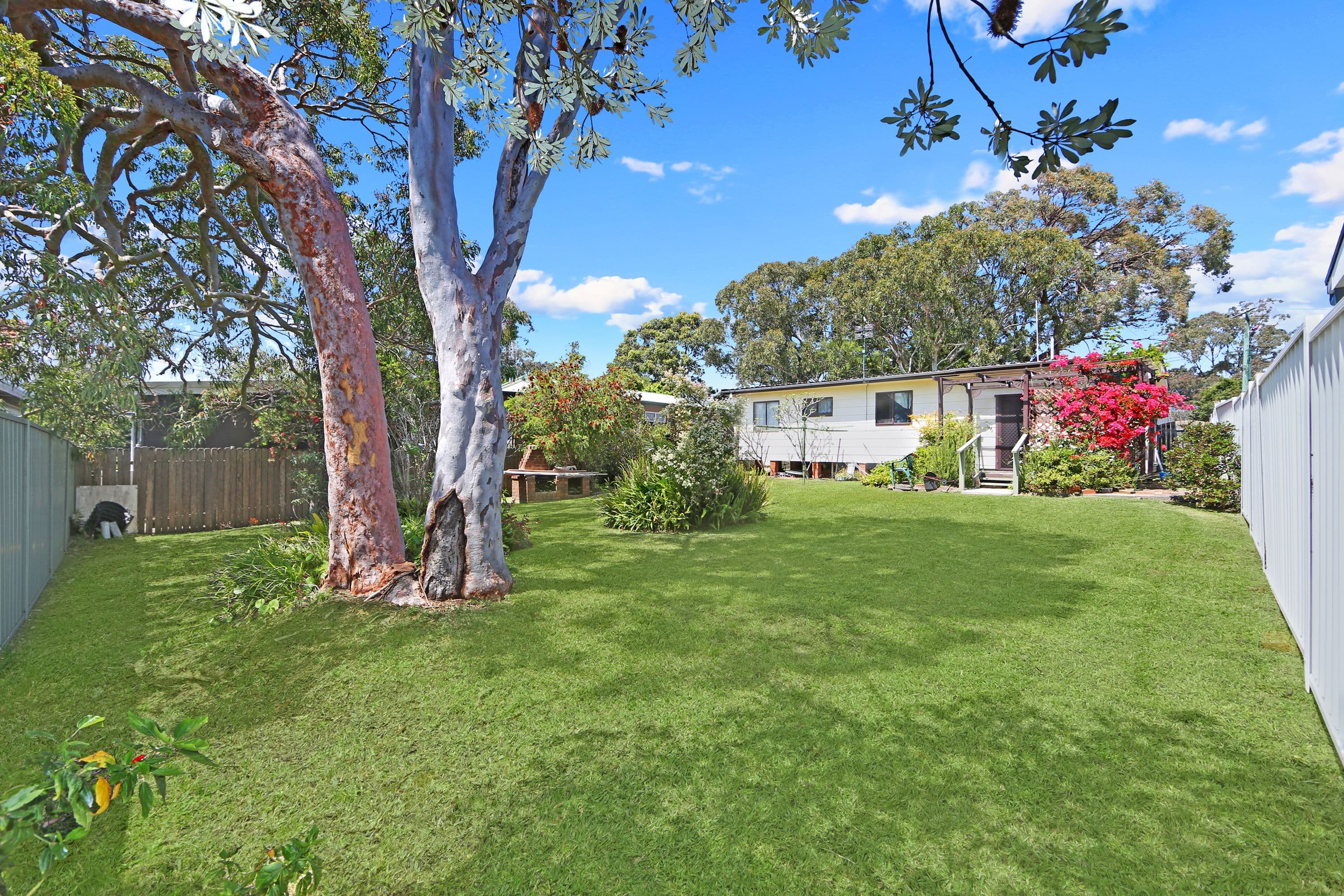 115 Scenic Drive, Budgewoi - Thumbnail 2